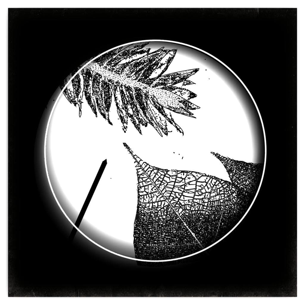 The Botanist artwork