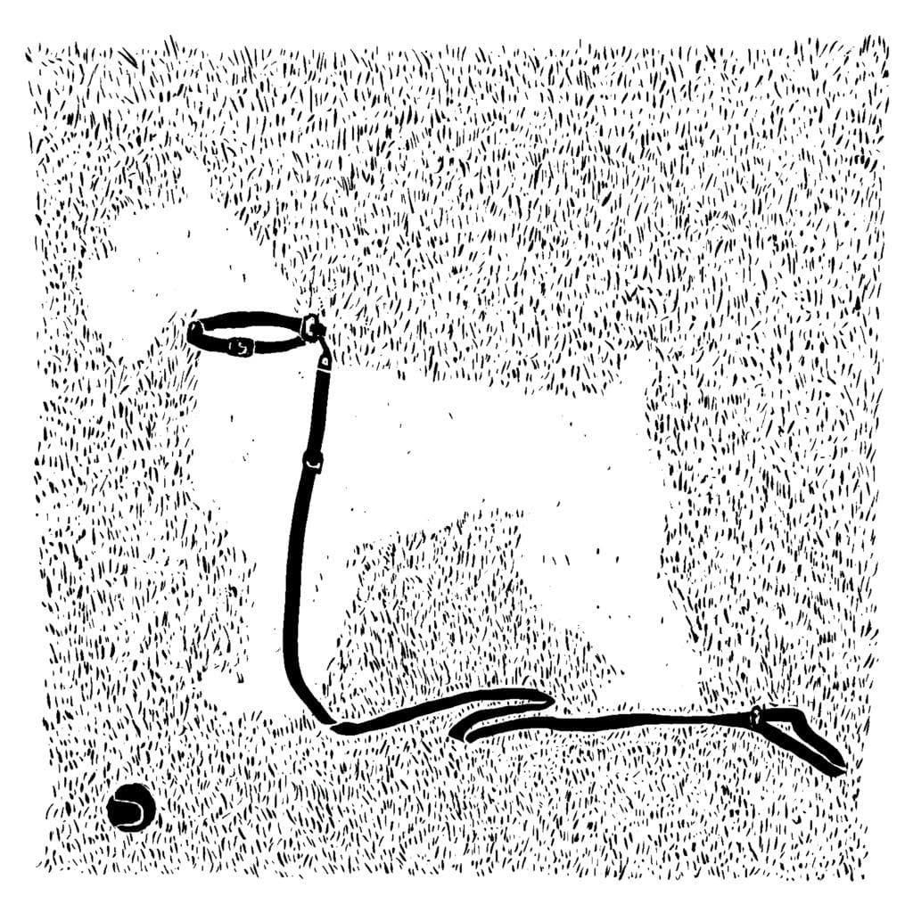 Off Leash artwork
