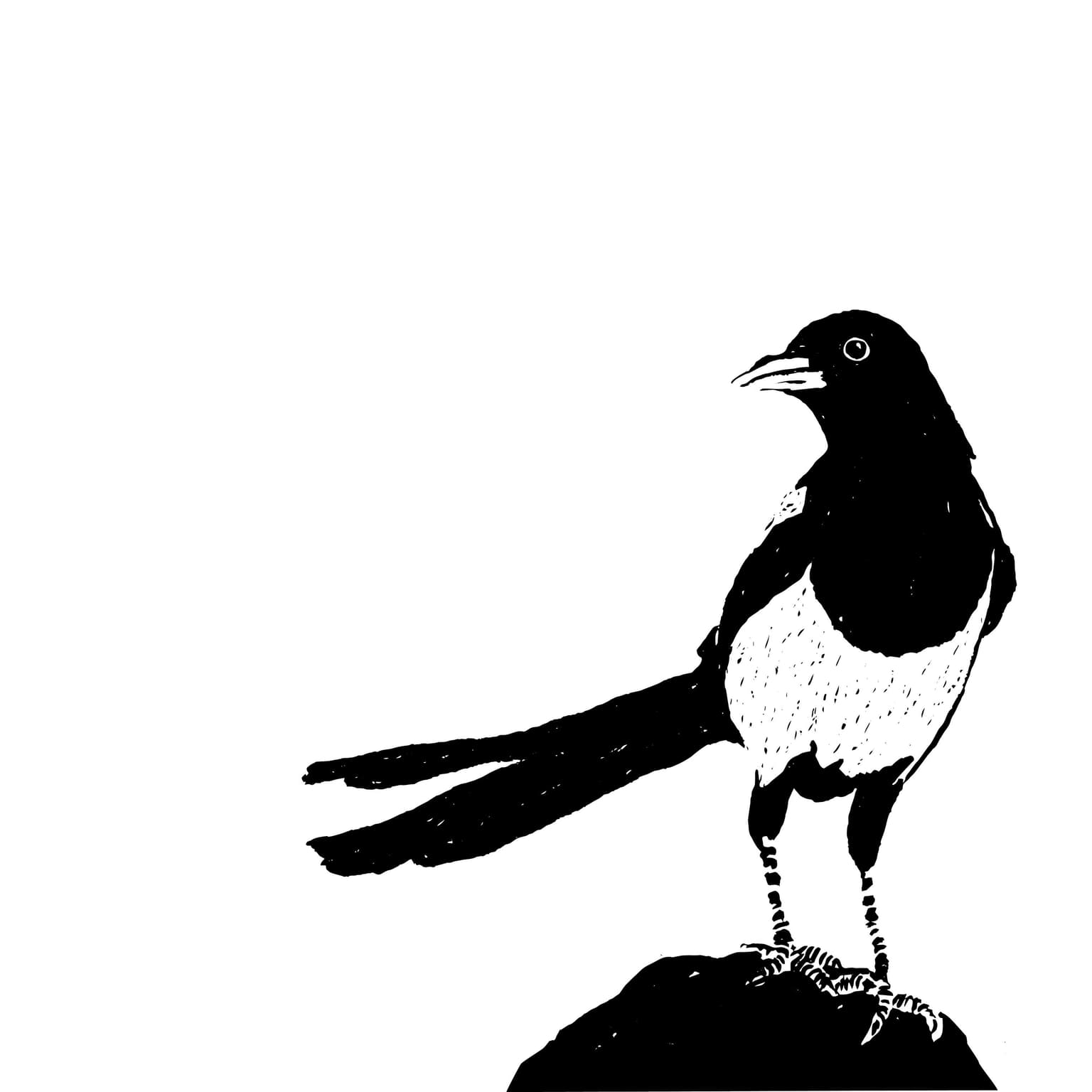 The Magpie artwork