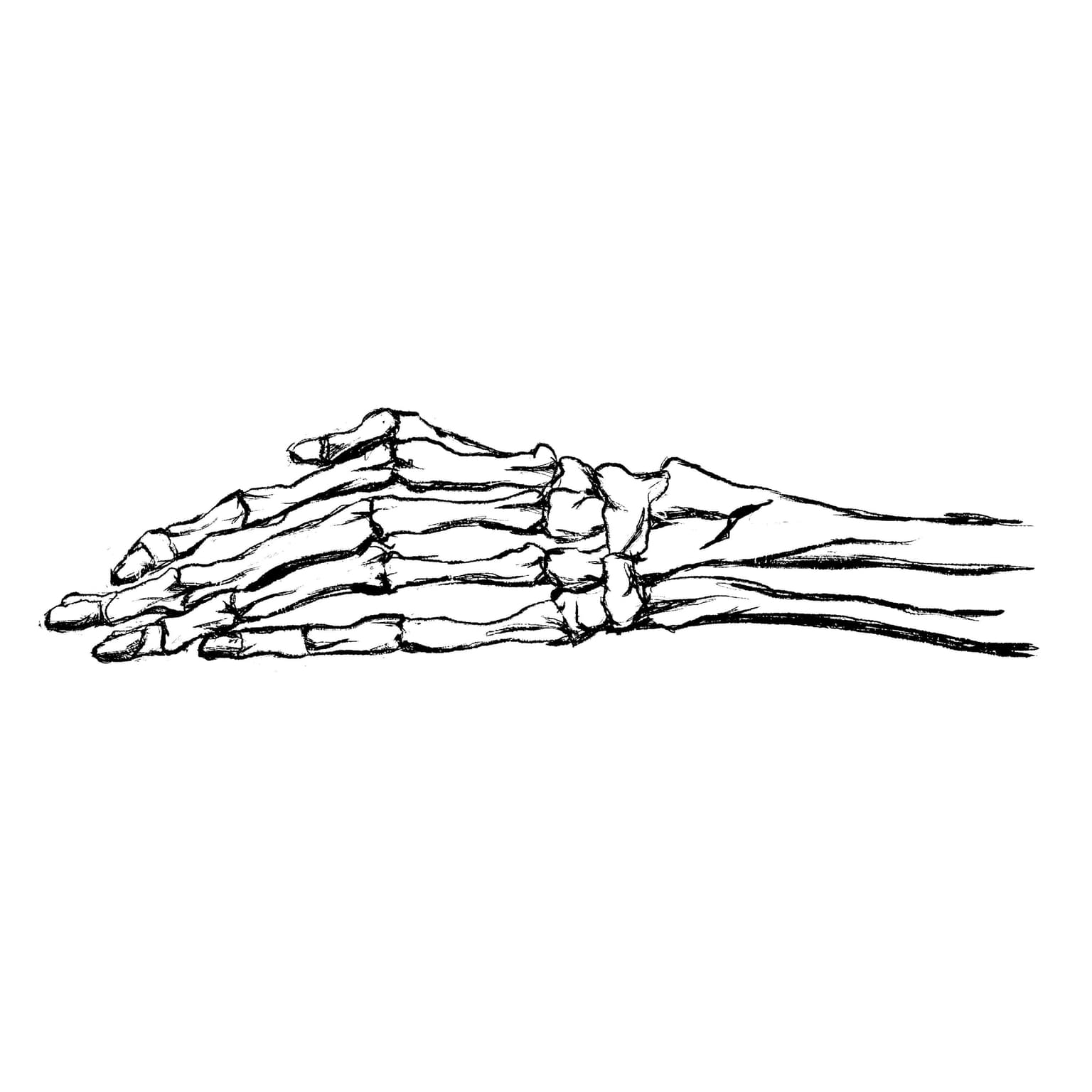 The Bodies in the Bog artwork