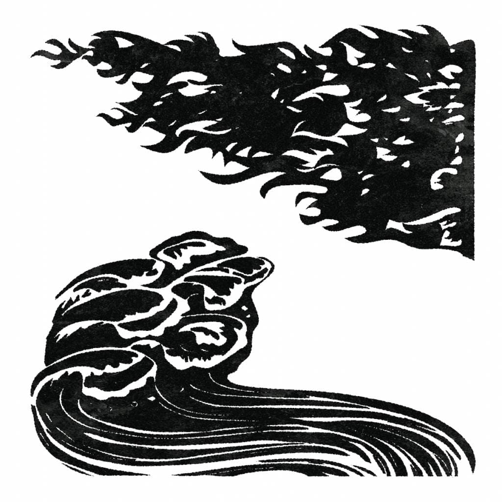 Catastrophe artwork