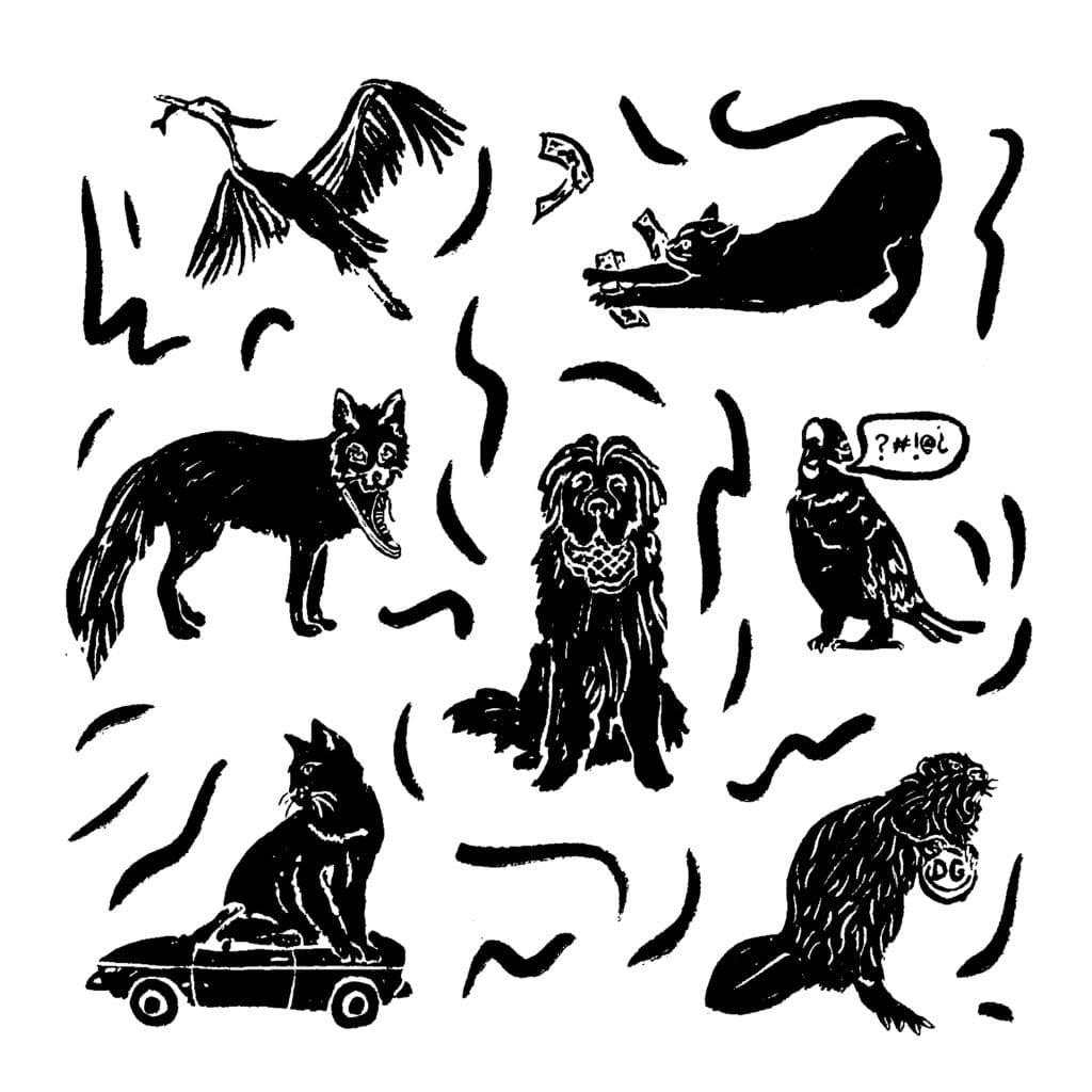 A Splendid Newfoundland, Cursing Birds, and the Fashion Fox artwork