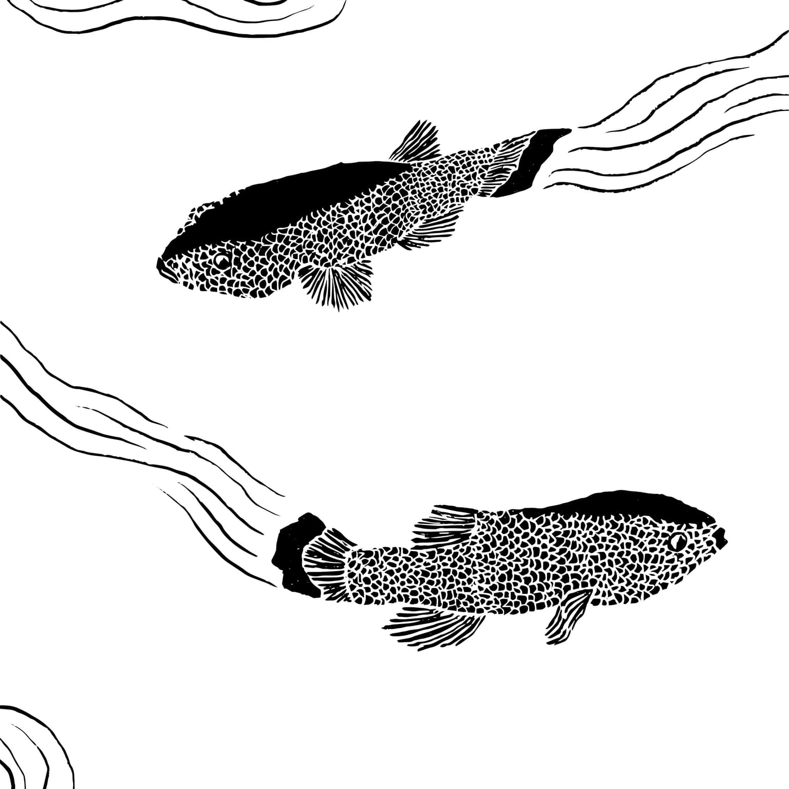 The Devil’s Hole Pupfish artwork