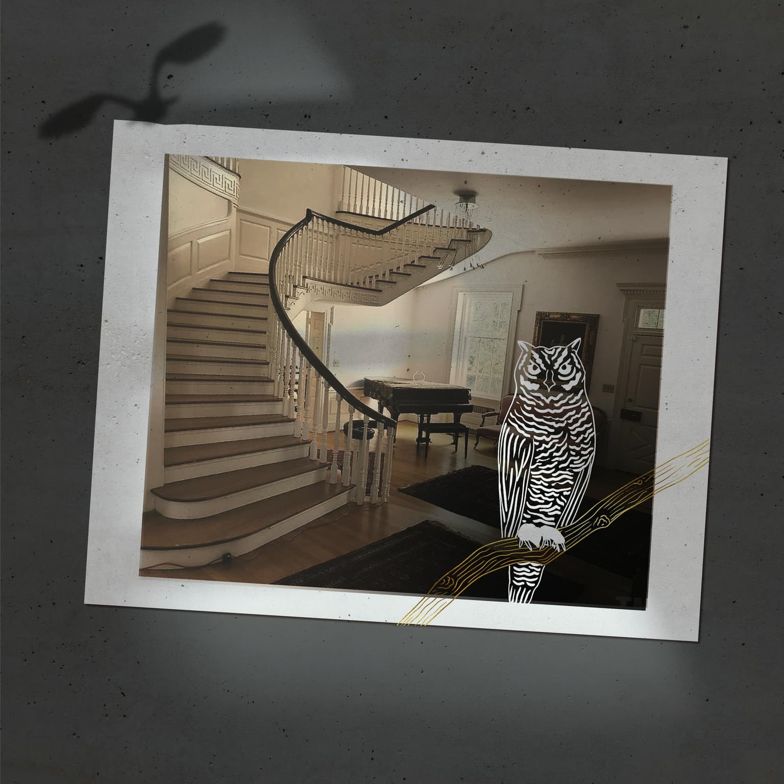 Animal Instincts artwork