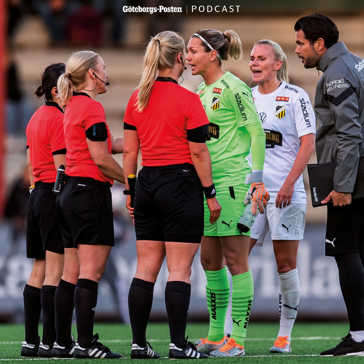 18. Den stora vårsammanfattningen artwork