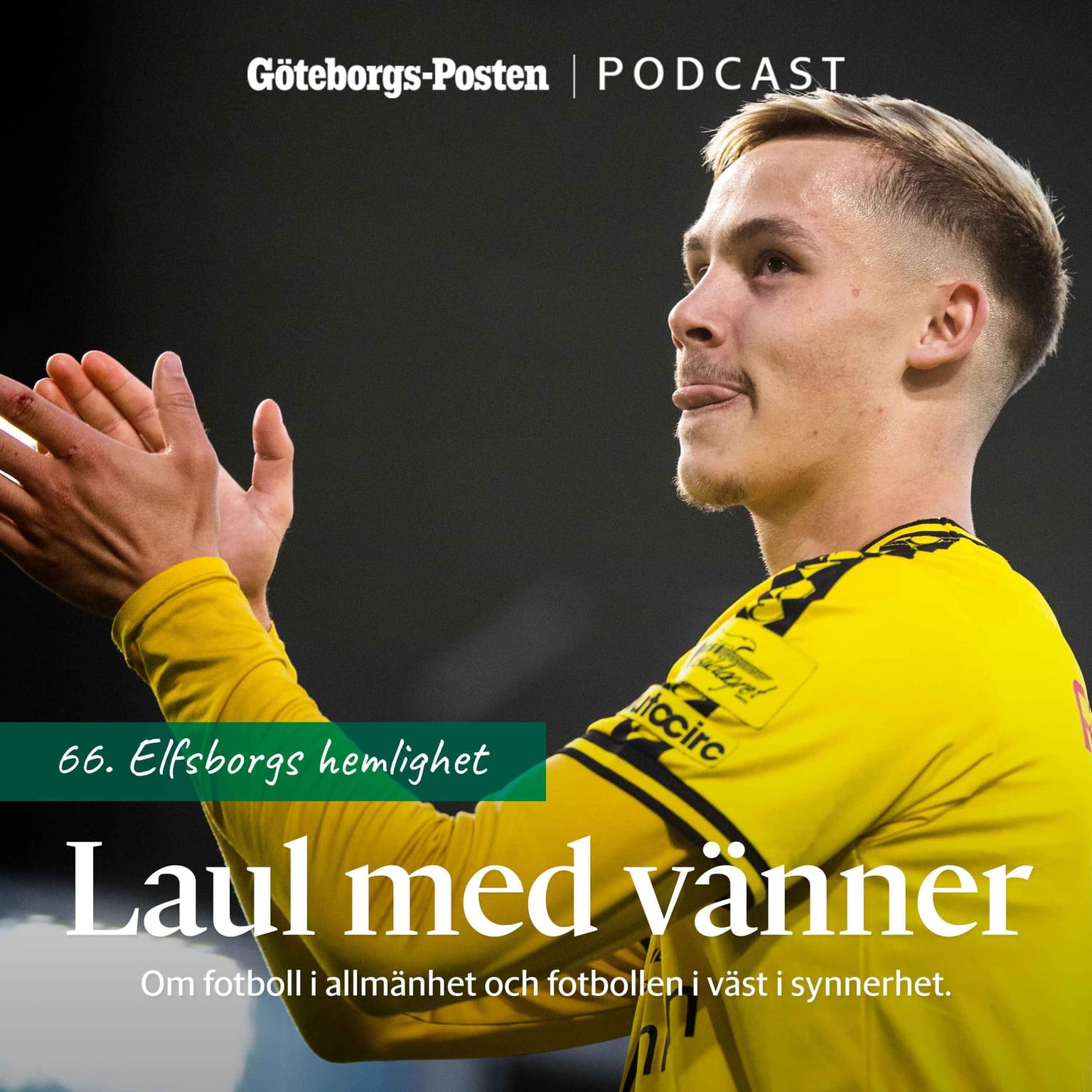 66. Elfsborgs hemlighet artwork