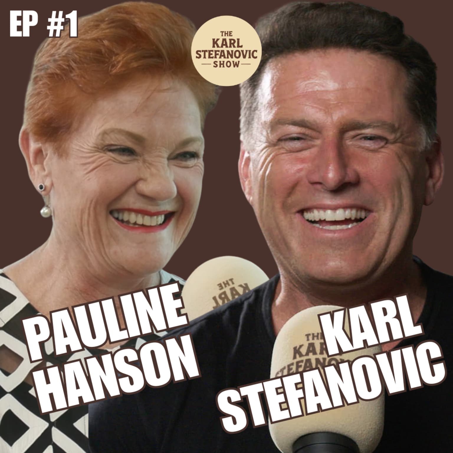 Pauline Hanson On The Karl Stefanovic Show artwork