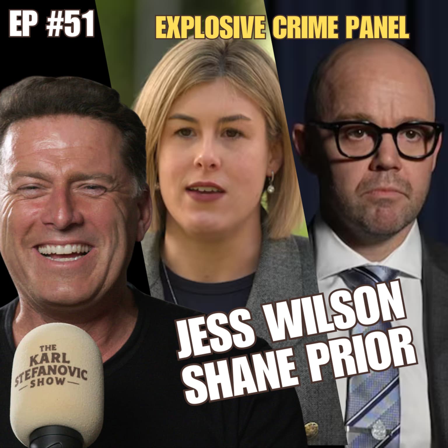 ‘The Criminals Are Large and In Charge’ : Australian Youth Crime Panel artwork