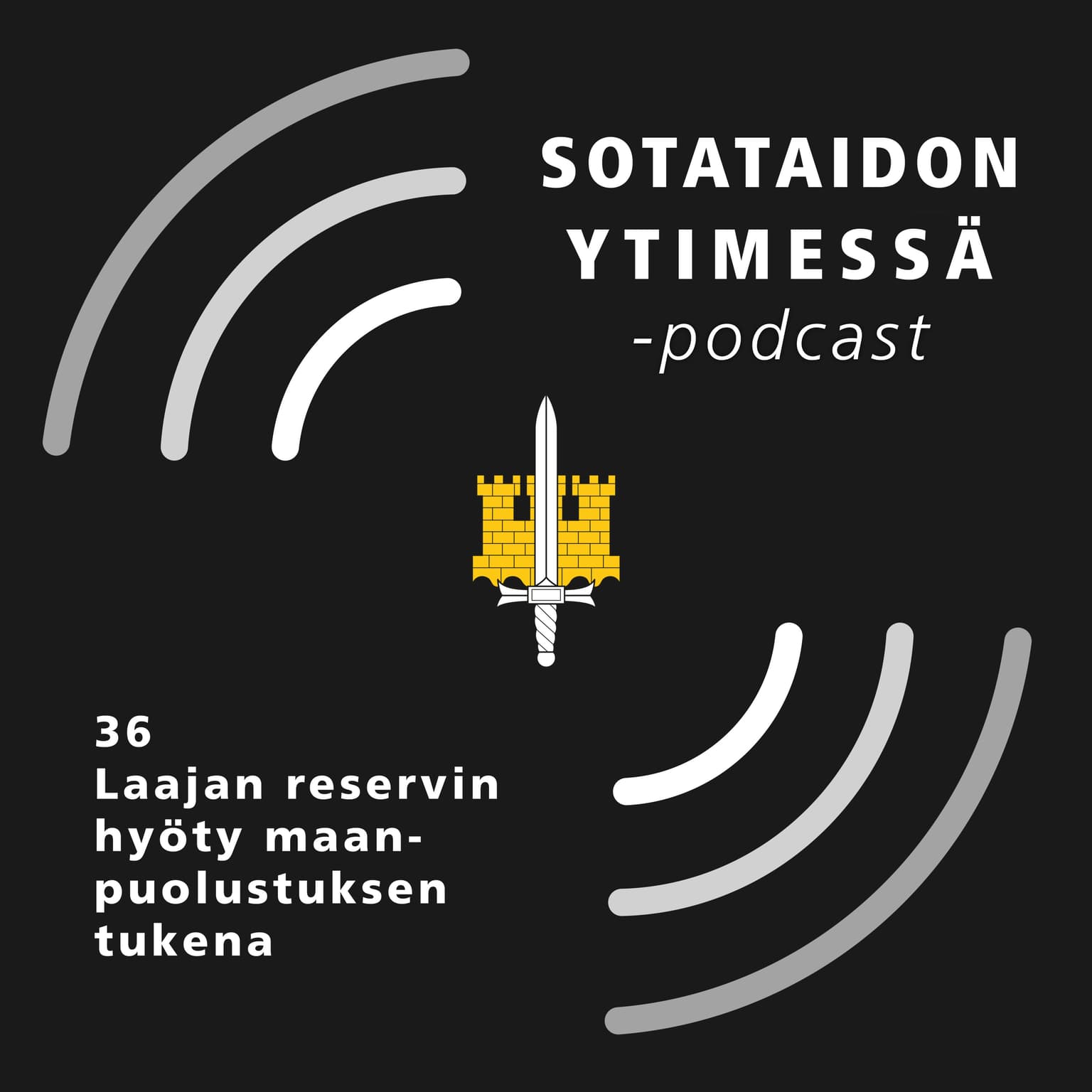 36 Laajan reservin hyöty maanpuolustuksen tukena artwork