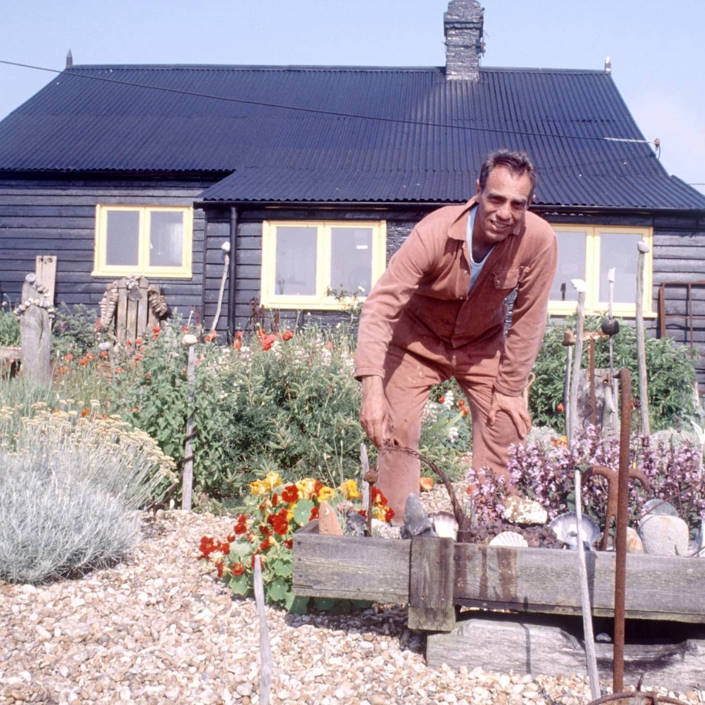 Derek Jarmans trädgård – en grönskande oas på liv och död artwork