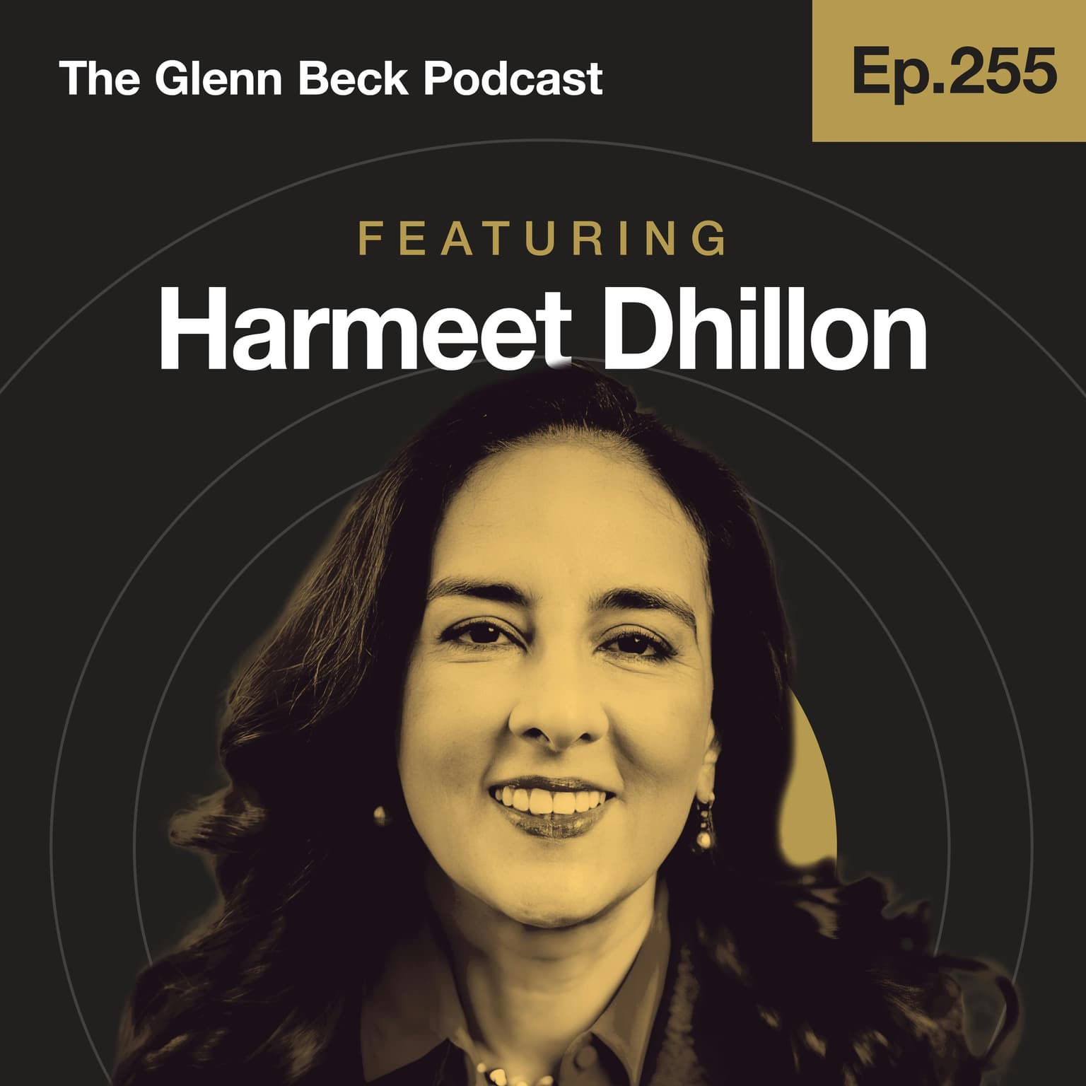 Ep 255 | Will Violent Activists Go to Jail? DOJ’s Harmeet Dhillon UNLEASHED | The Glenn Beck Podcast artwork