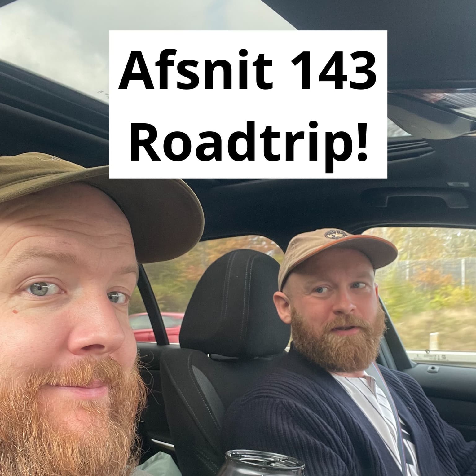 #143 "Tourdagbog fra Nyborg, Odense, Herning-ish og Aabenraa" artwork