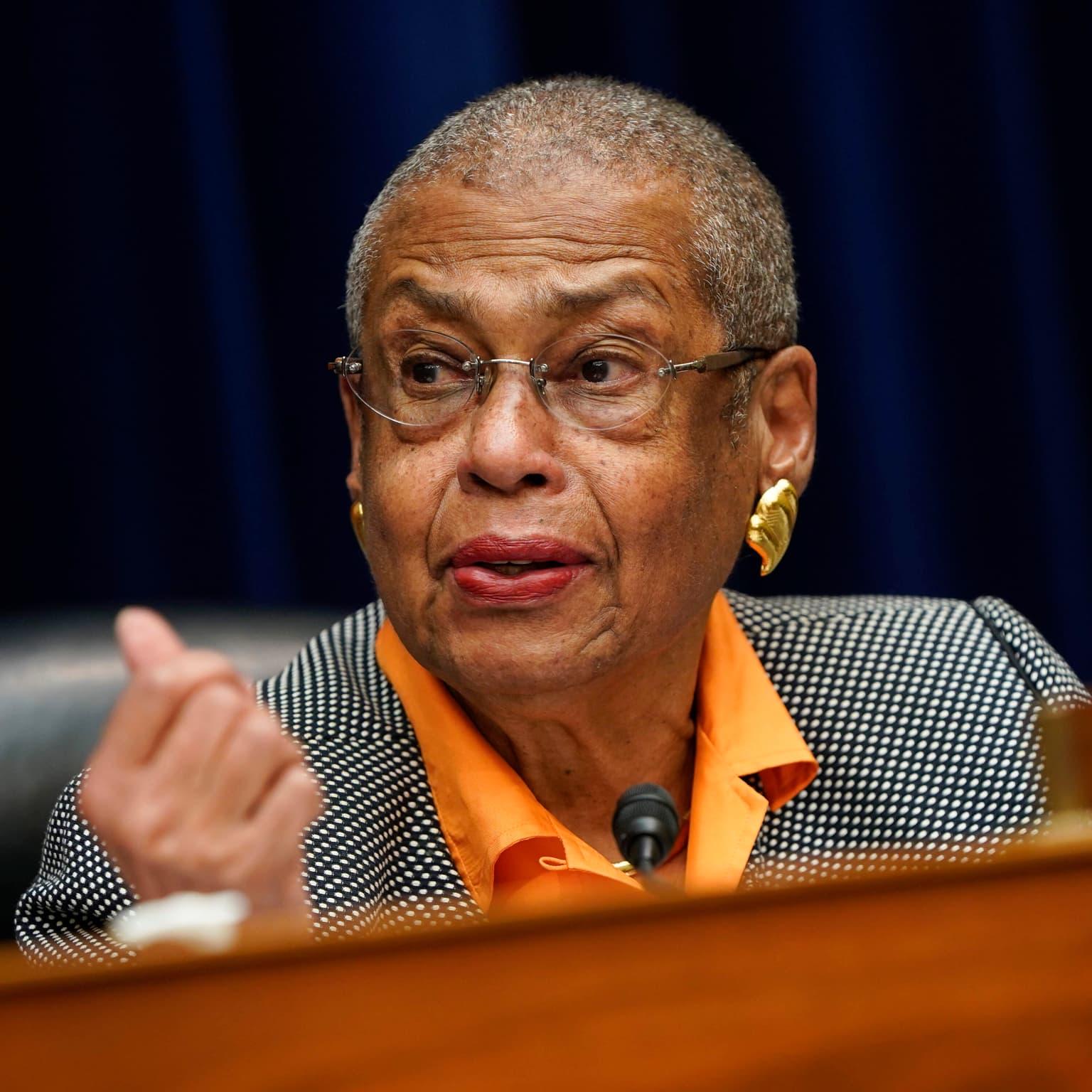 Congresswoman Eleanor Holmes Norton artwork