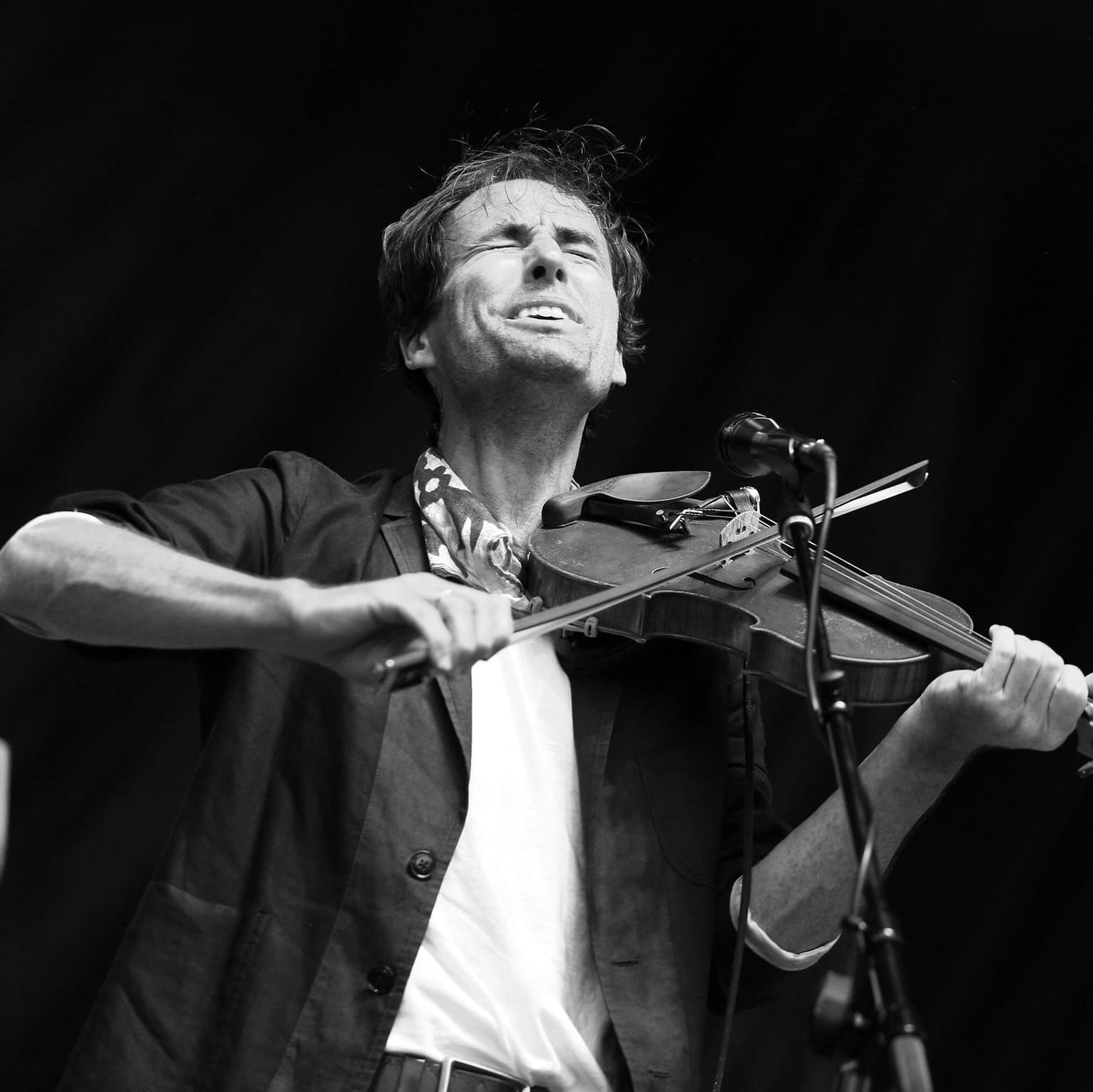 Andrew Bird artwork