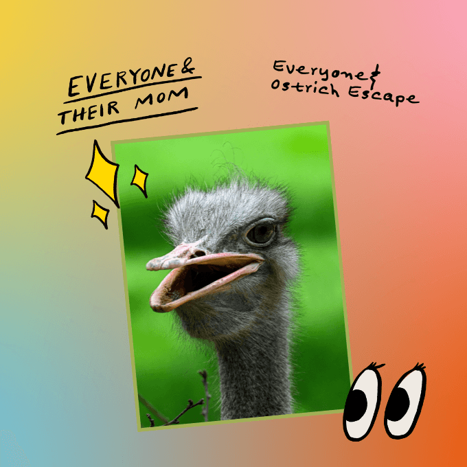 Everyone & Ostrich Escape artwork