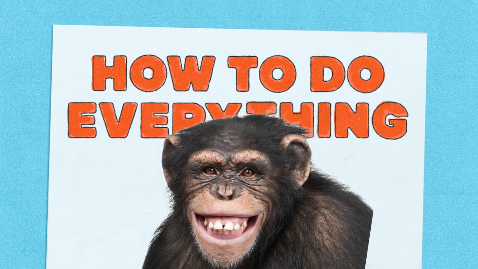 HTDE: Tom Hanks, Hot Dogs and Chimp Butts artwork