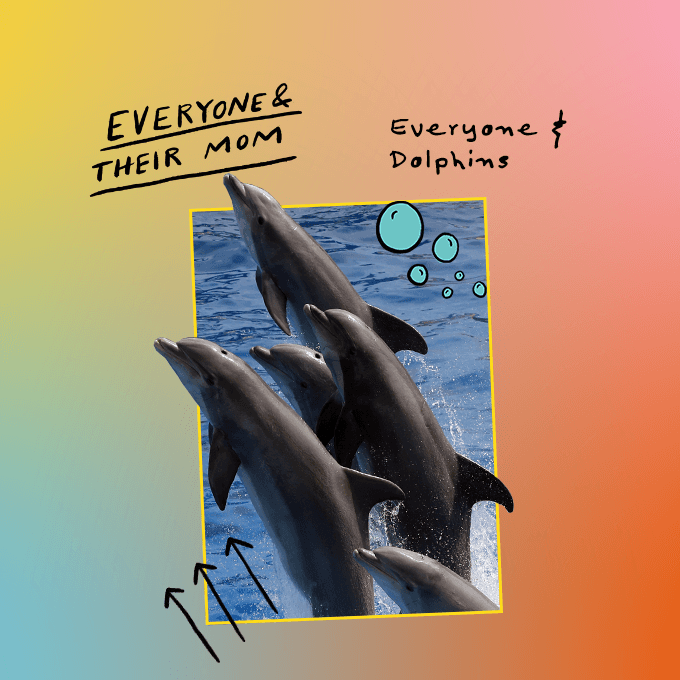 Everyone & Dolphins artwork
