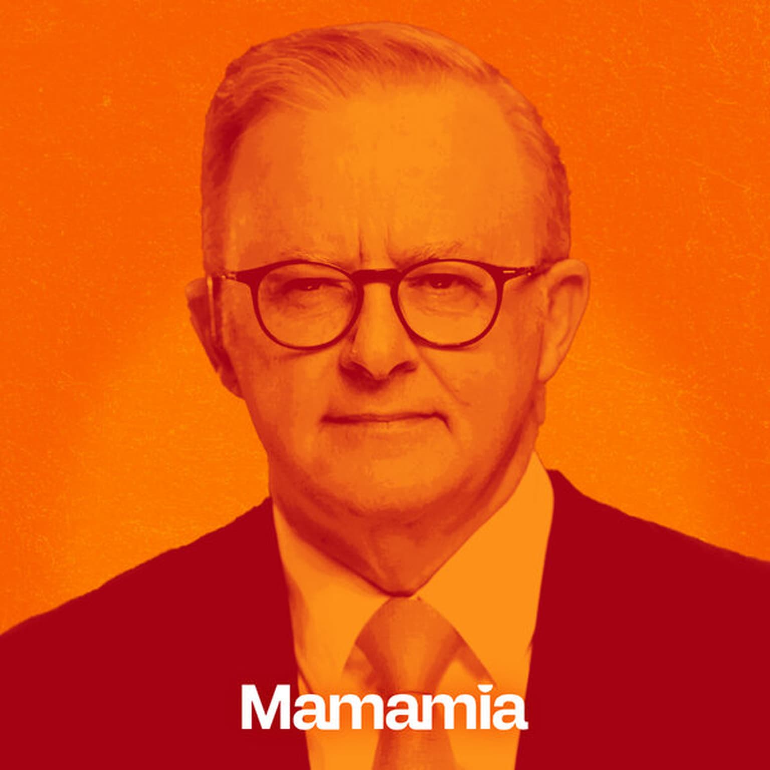 Anthony Albanese: The Interview artwork