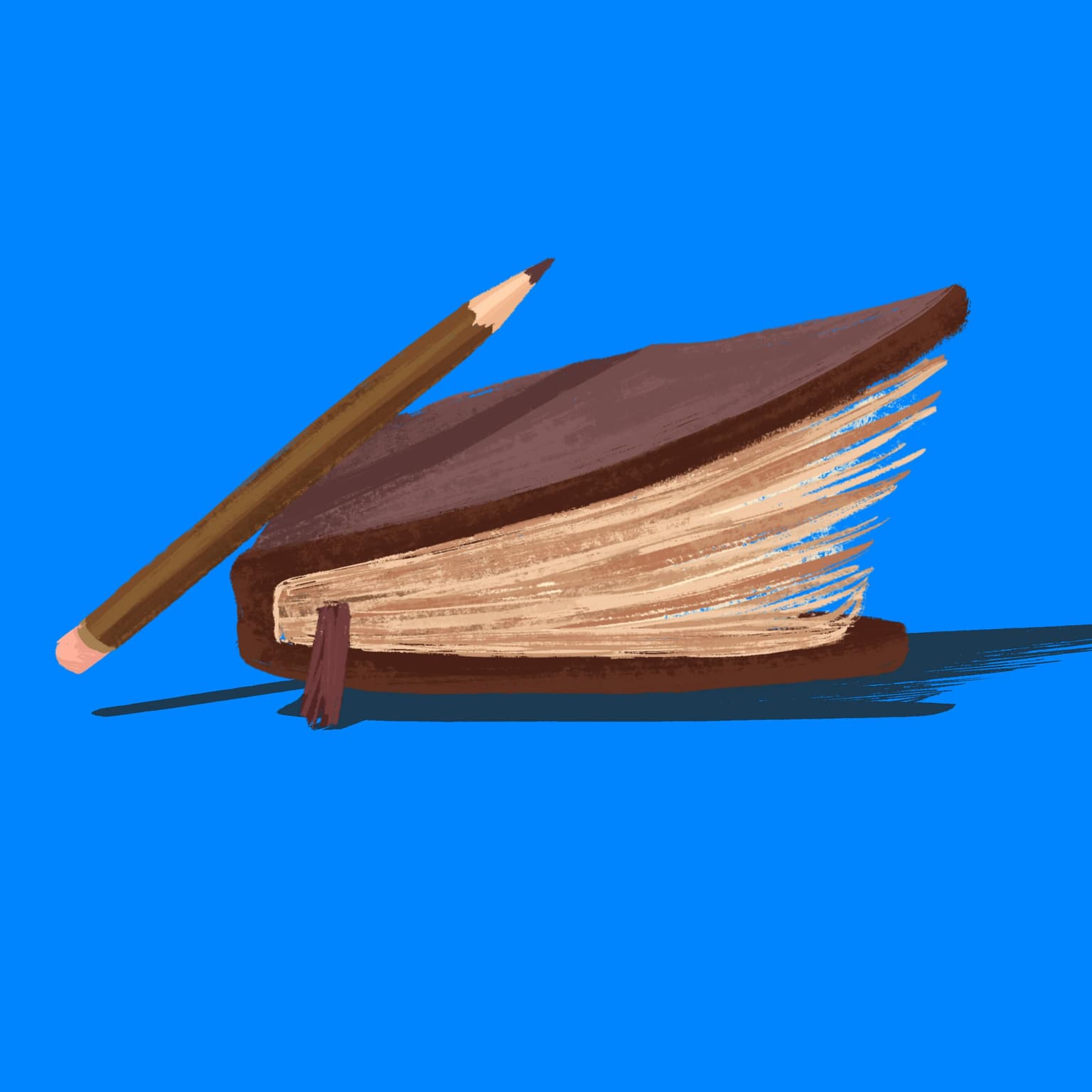 diary of a divorce artwork