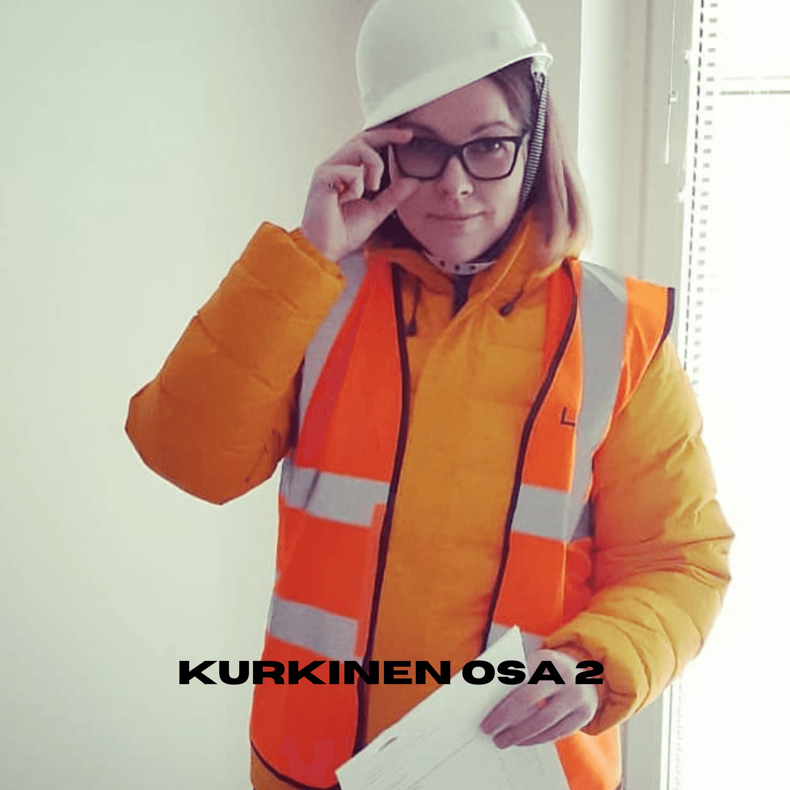 254. Katja Kurkinen vakuutuksia ja vuokrasopimuksia Osa 2 artwork