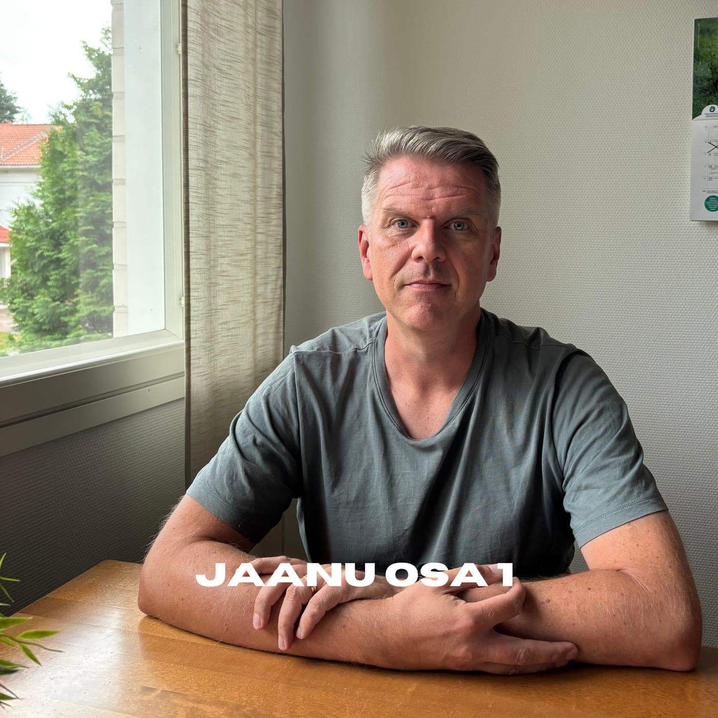 373. Kokemuksia ja ajatuksia Marko Jaanu Osa 1 artwork