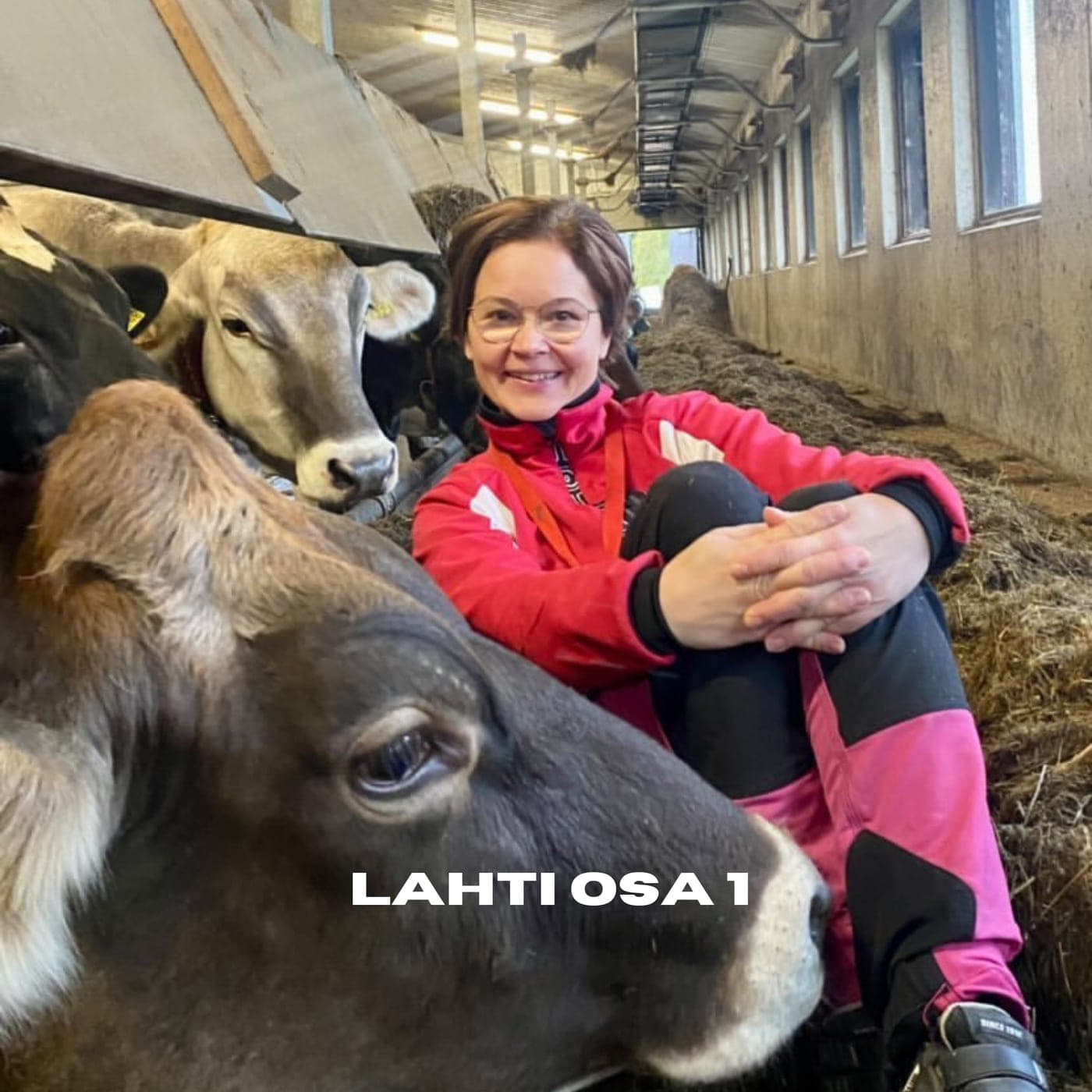 224. Outi Lahden milkit ja massit Osa 1 artwork