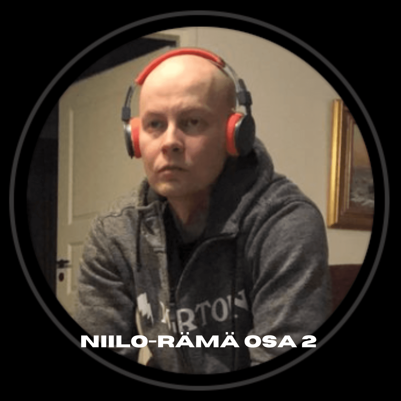 259. Vuokraloordi tilastotieteilijä Mikko Niilo-Rämä Osa 2 artwork