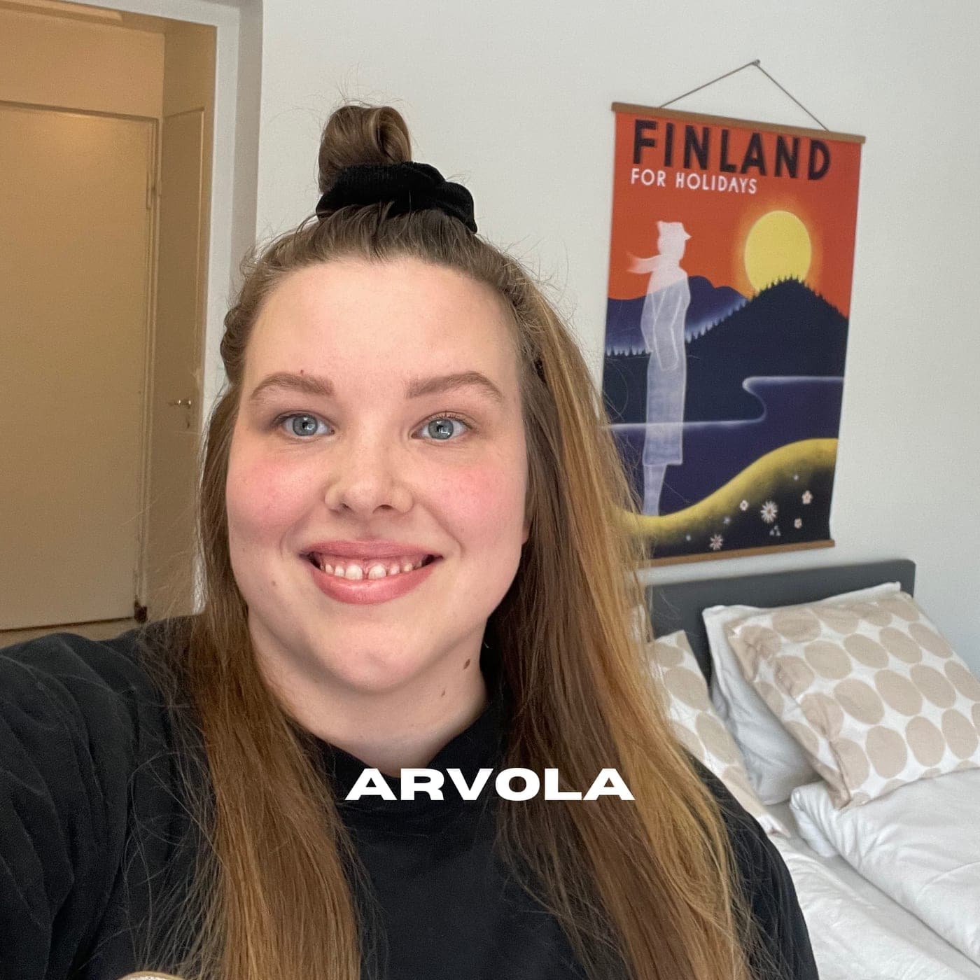 377. Rovaniemi ja 11 jälleenvuokrausasuntoa Laura Arvola artwork