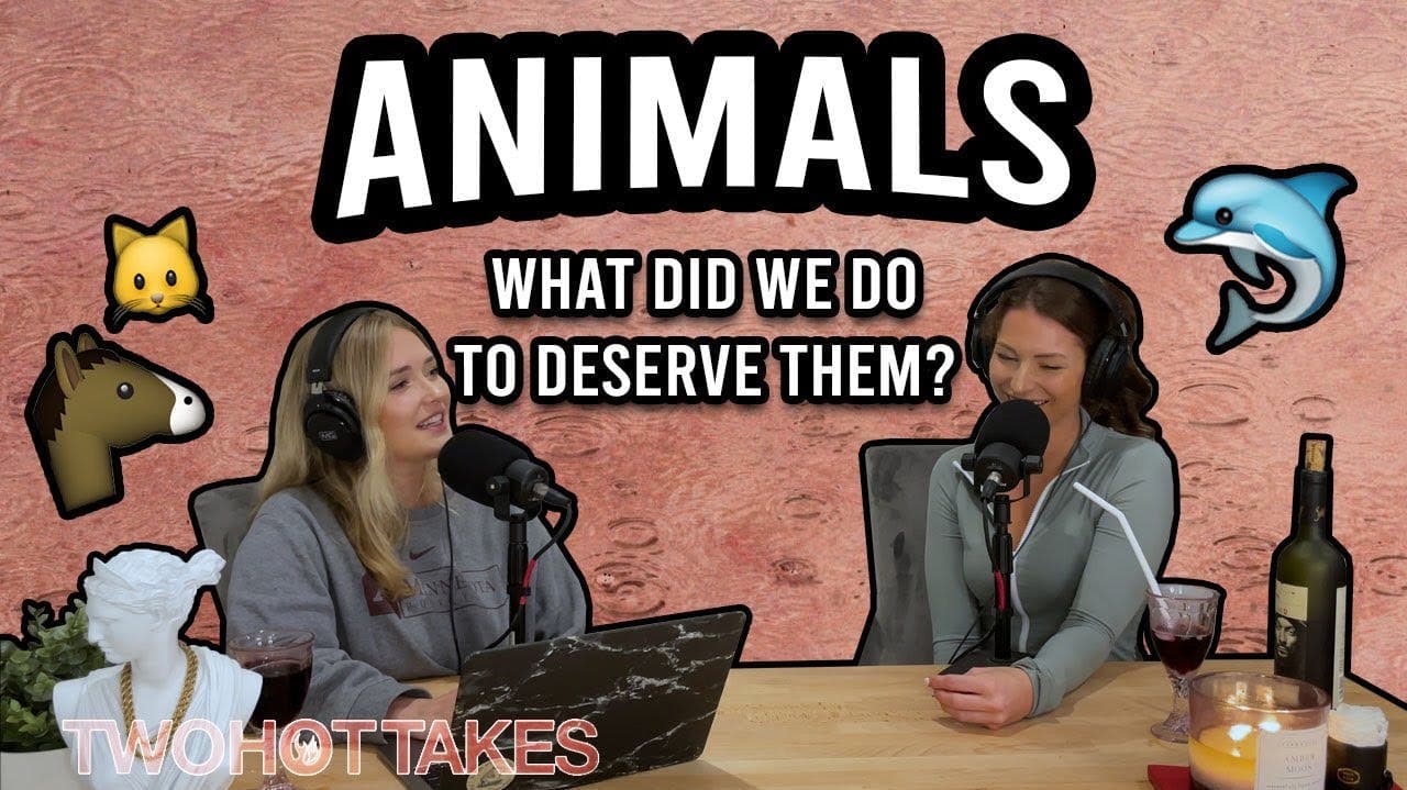 13: Animals.. What Did We Do to Deserve Them? artwork