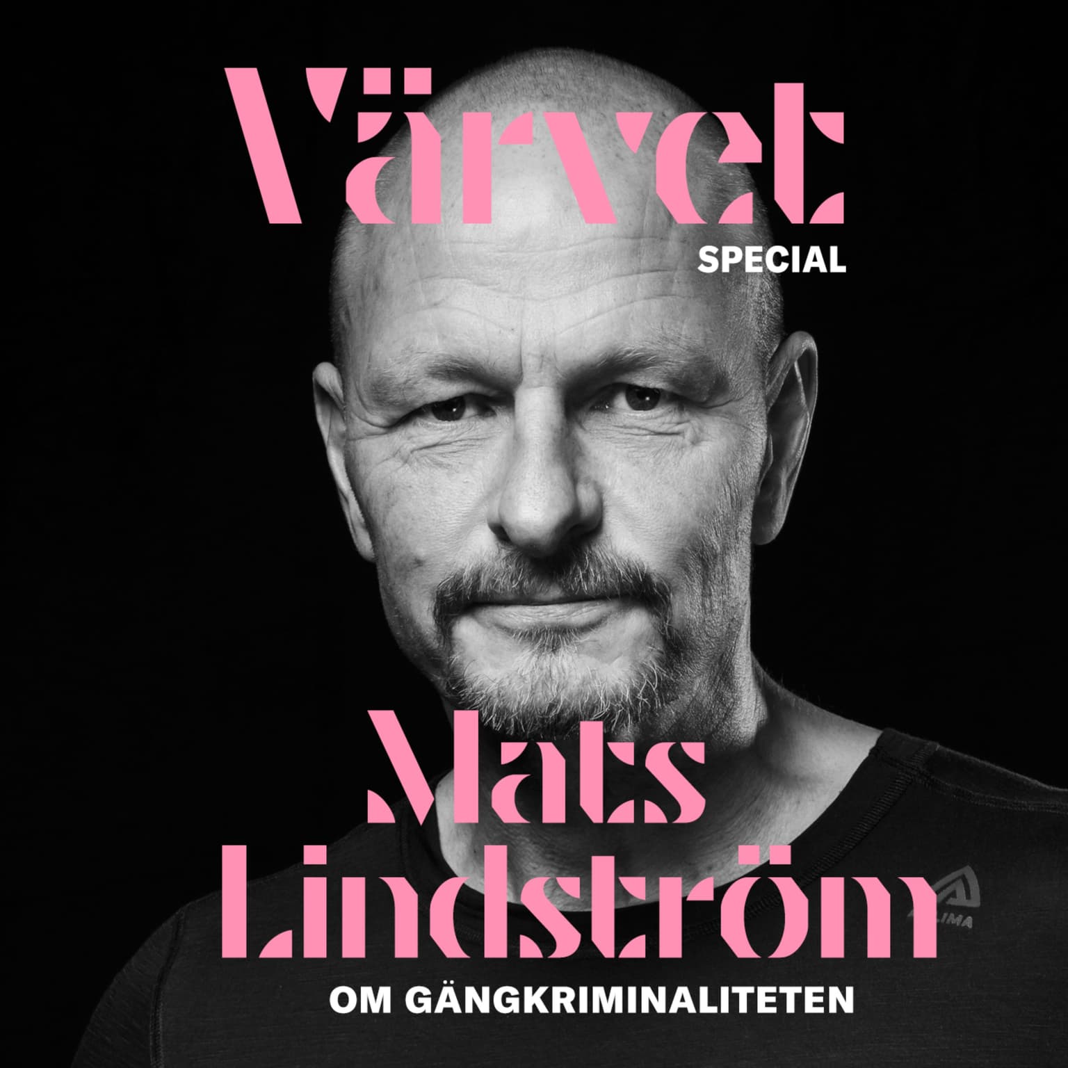 SPECIAL: Mats Lindström artwork