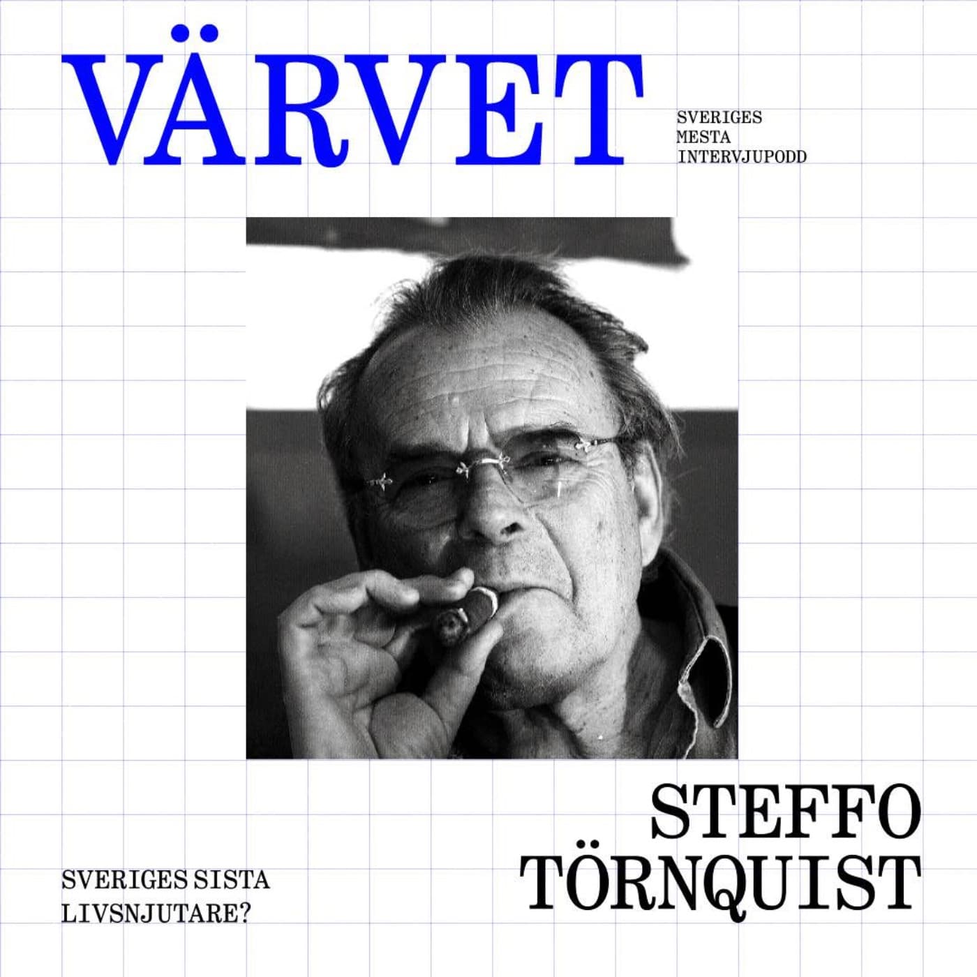 BONUS: Steffo Törnquists njutningsskola artwork