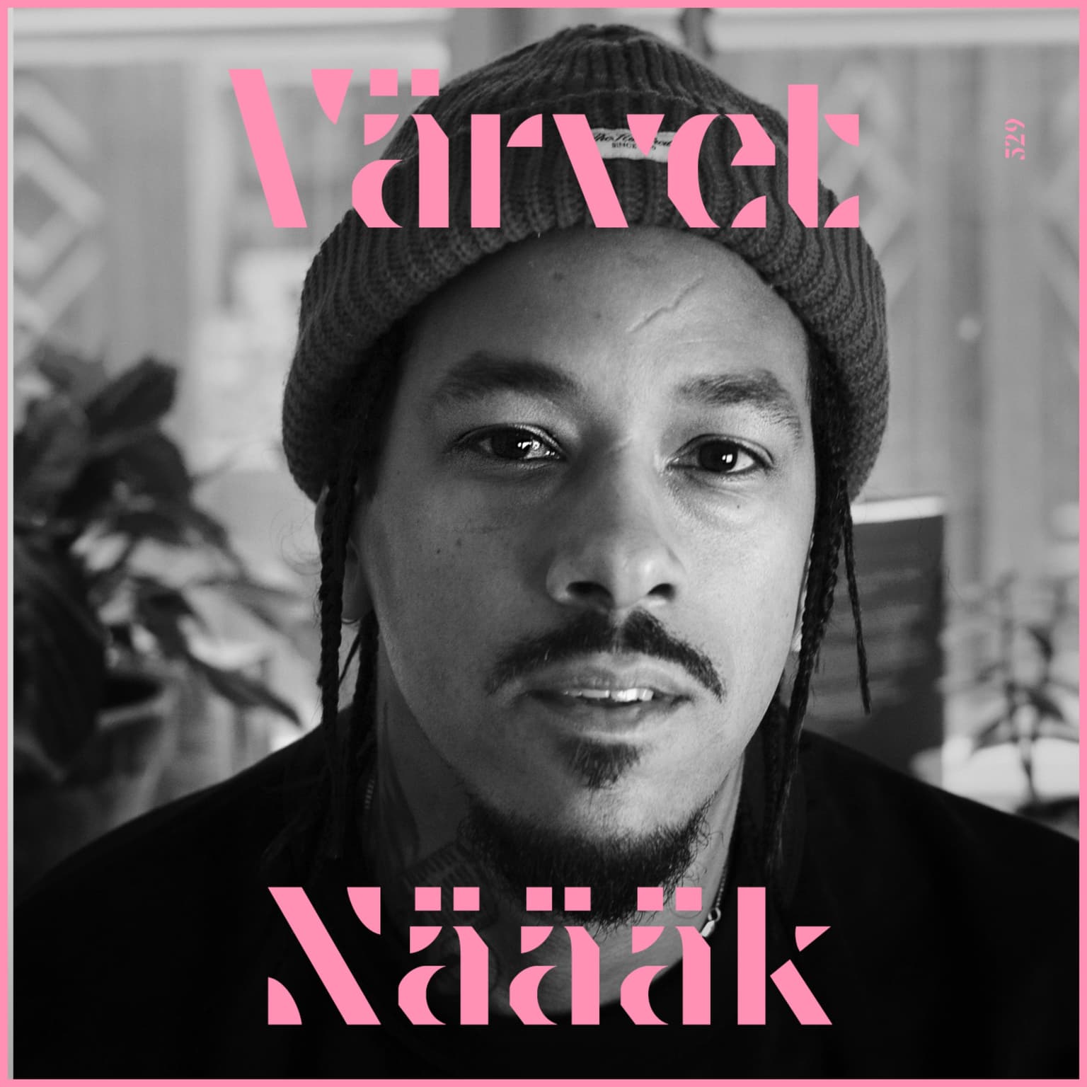 #529 Näääk artwork
