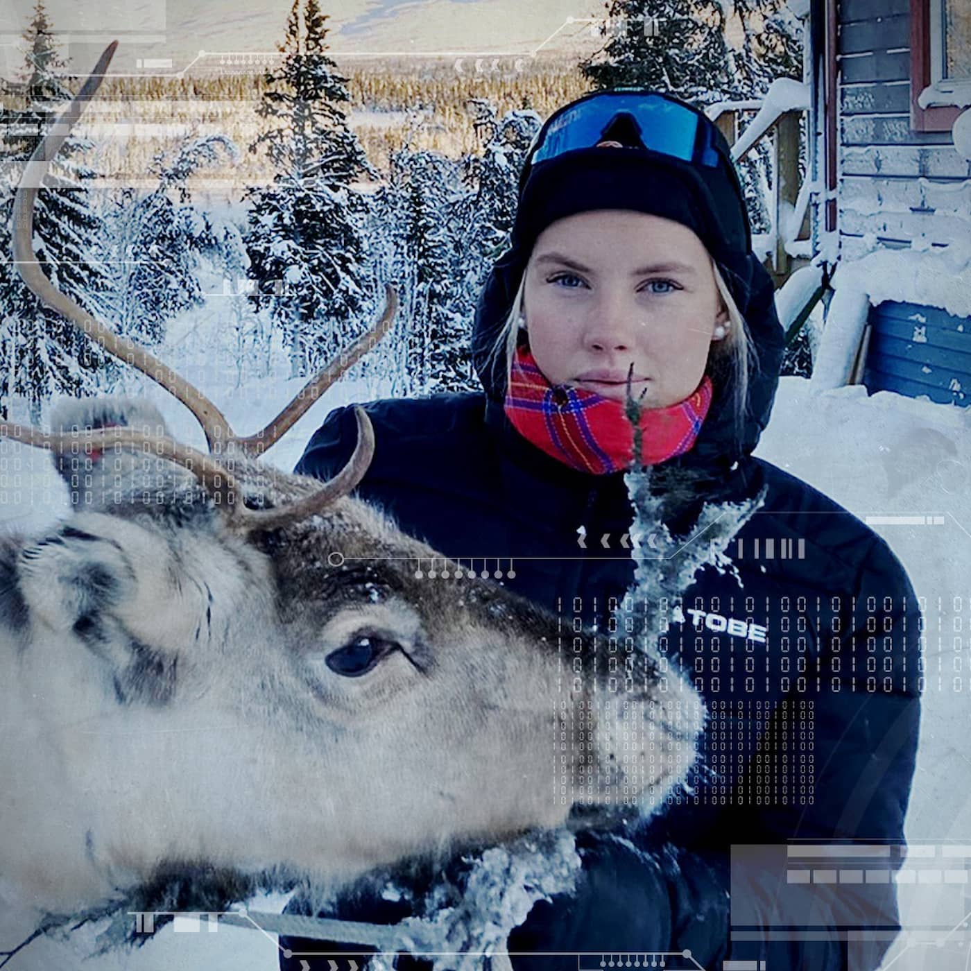 Hatet i fjällen artwork