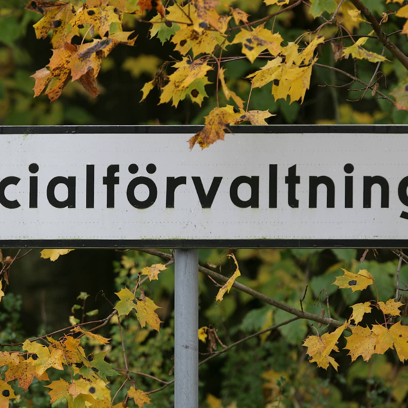 Kaliber fortsätter granskningen av socialtjänsten artwork