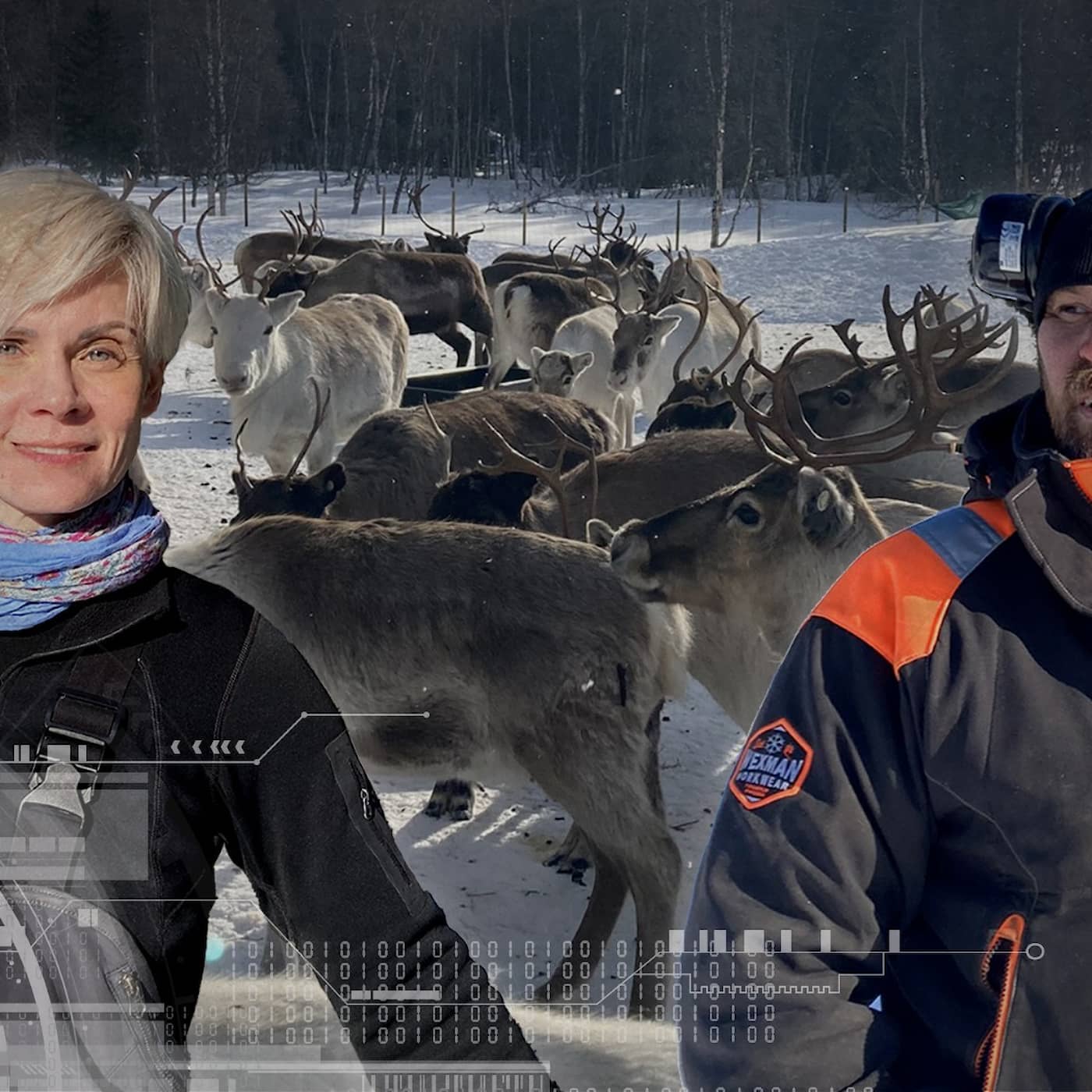 Hatet i fjällen: Vem är en riktig same? artwork