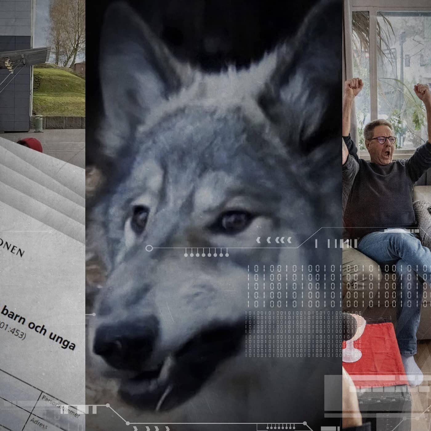 Misstänkt tjänstefel, kallingeborna vann och varghybrider upprör – så gick det sen artwork