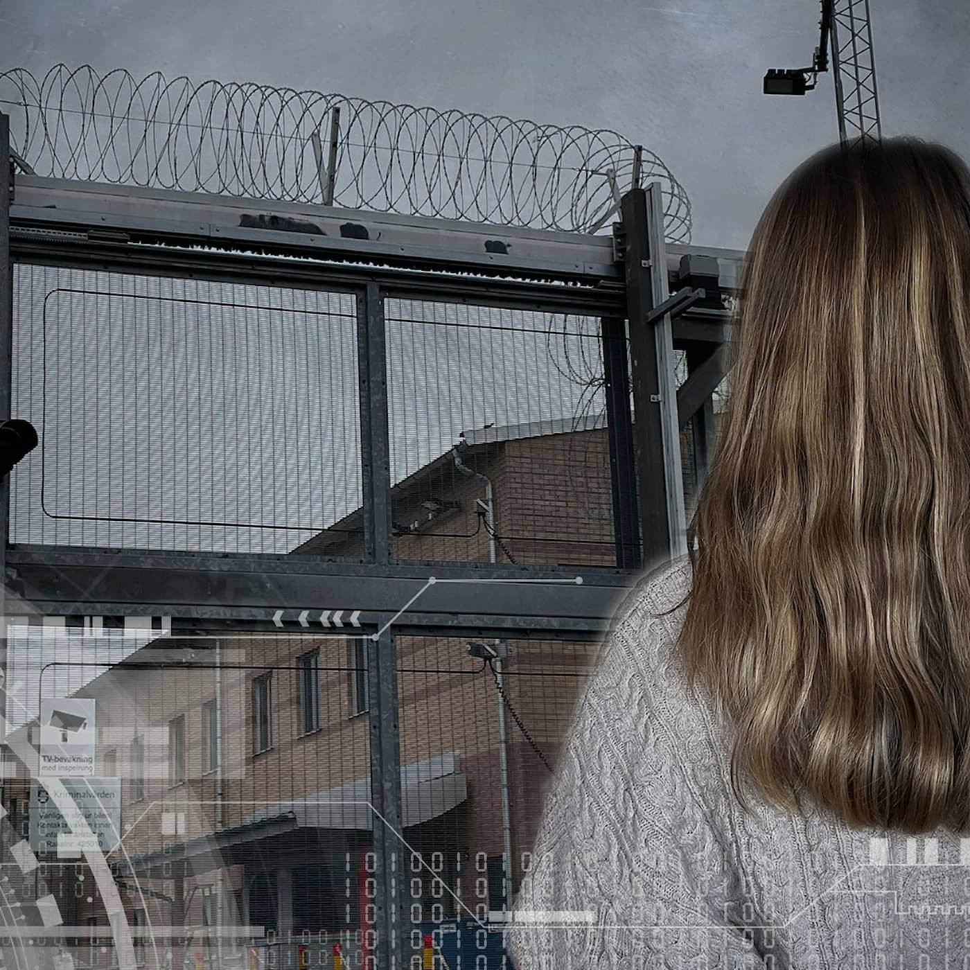Anstalten 3: Sexanklagelserna – ”Det värsta som hänt mig” artwork