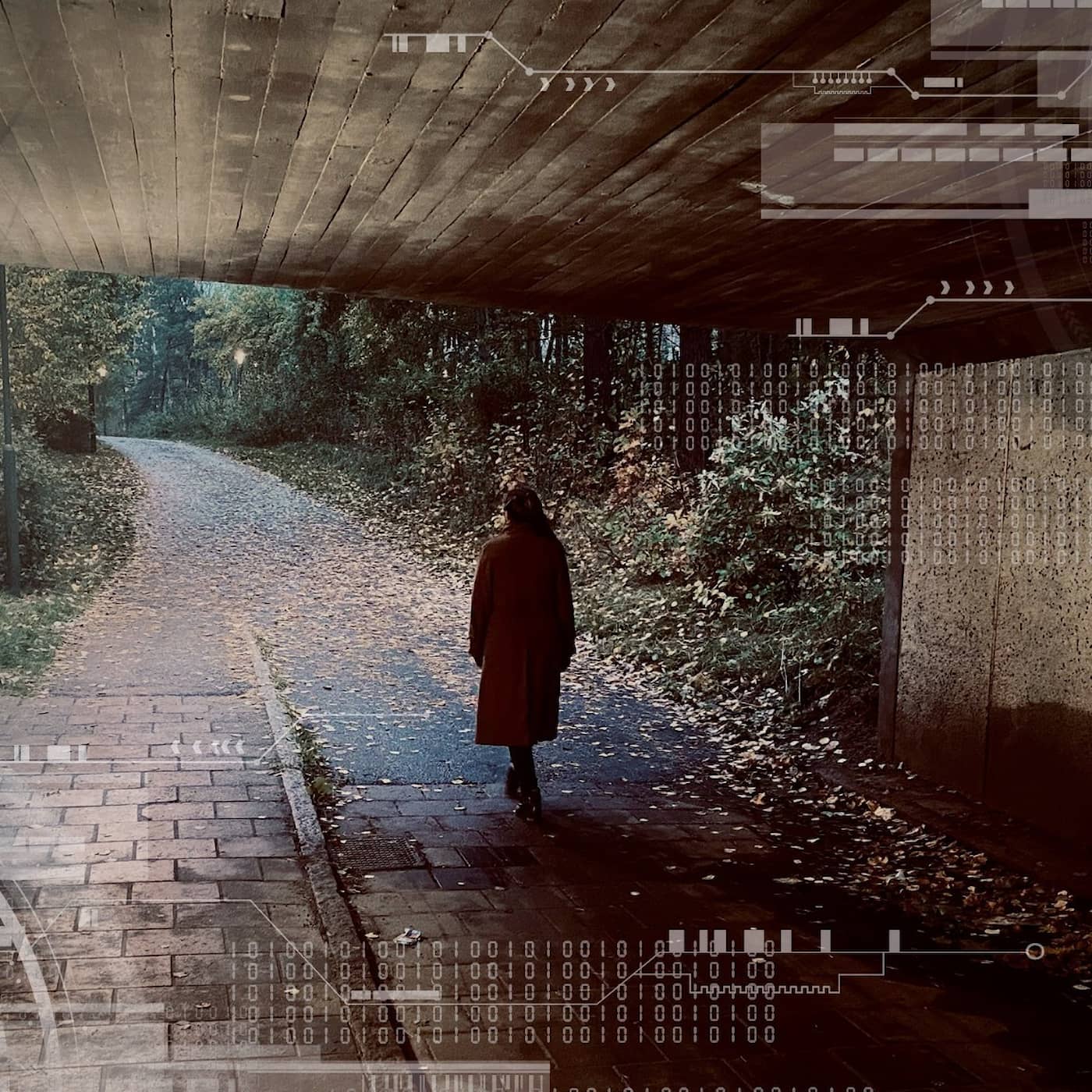 Förföljd – drabbad och rådlös artwork