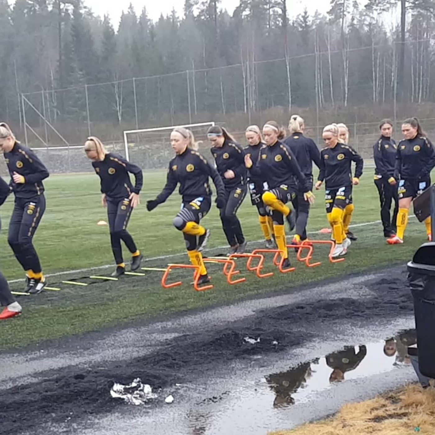 Elfsborgs nya damlag – så drevs satsningen fram artwork