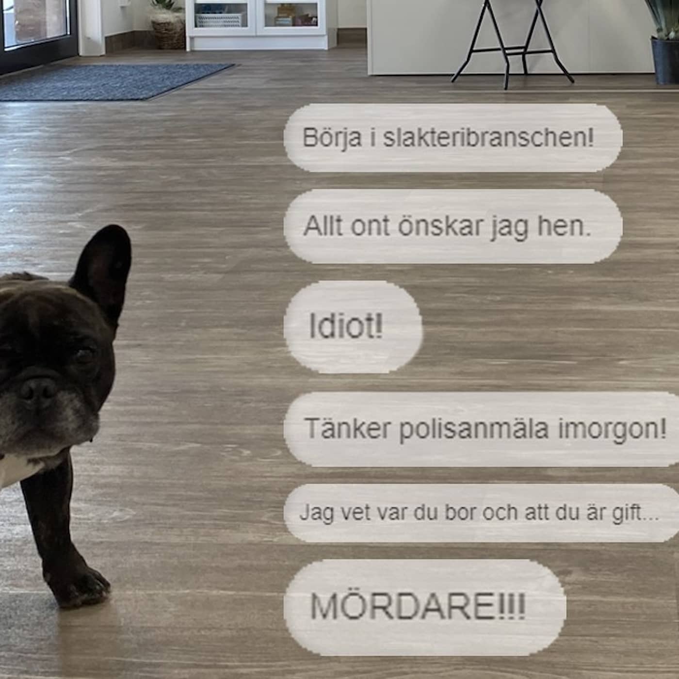 Djursjukvårdens pris artwork