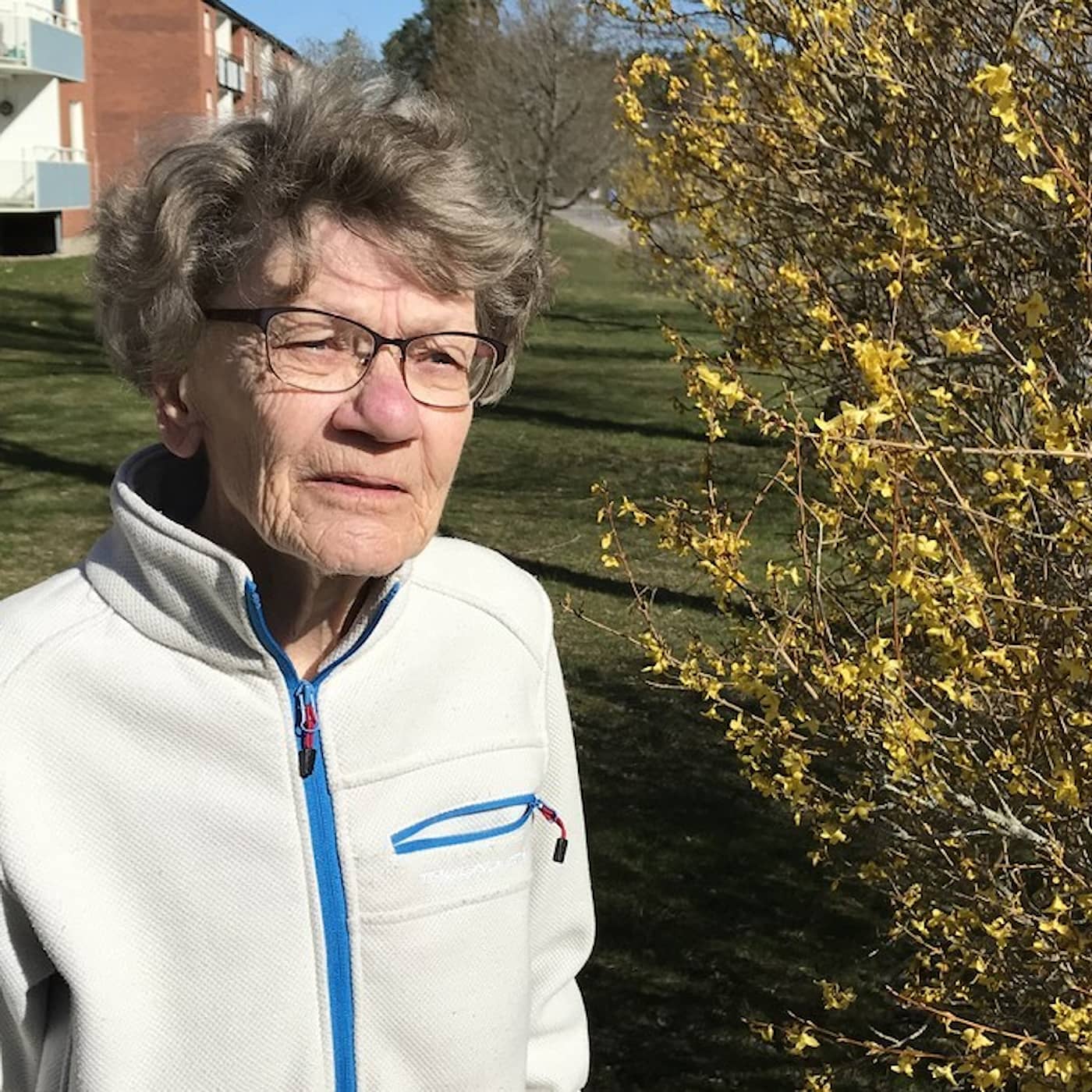 Birgits vädjan om demensvården i coronatider artwork