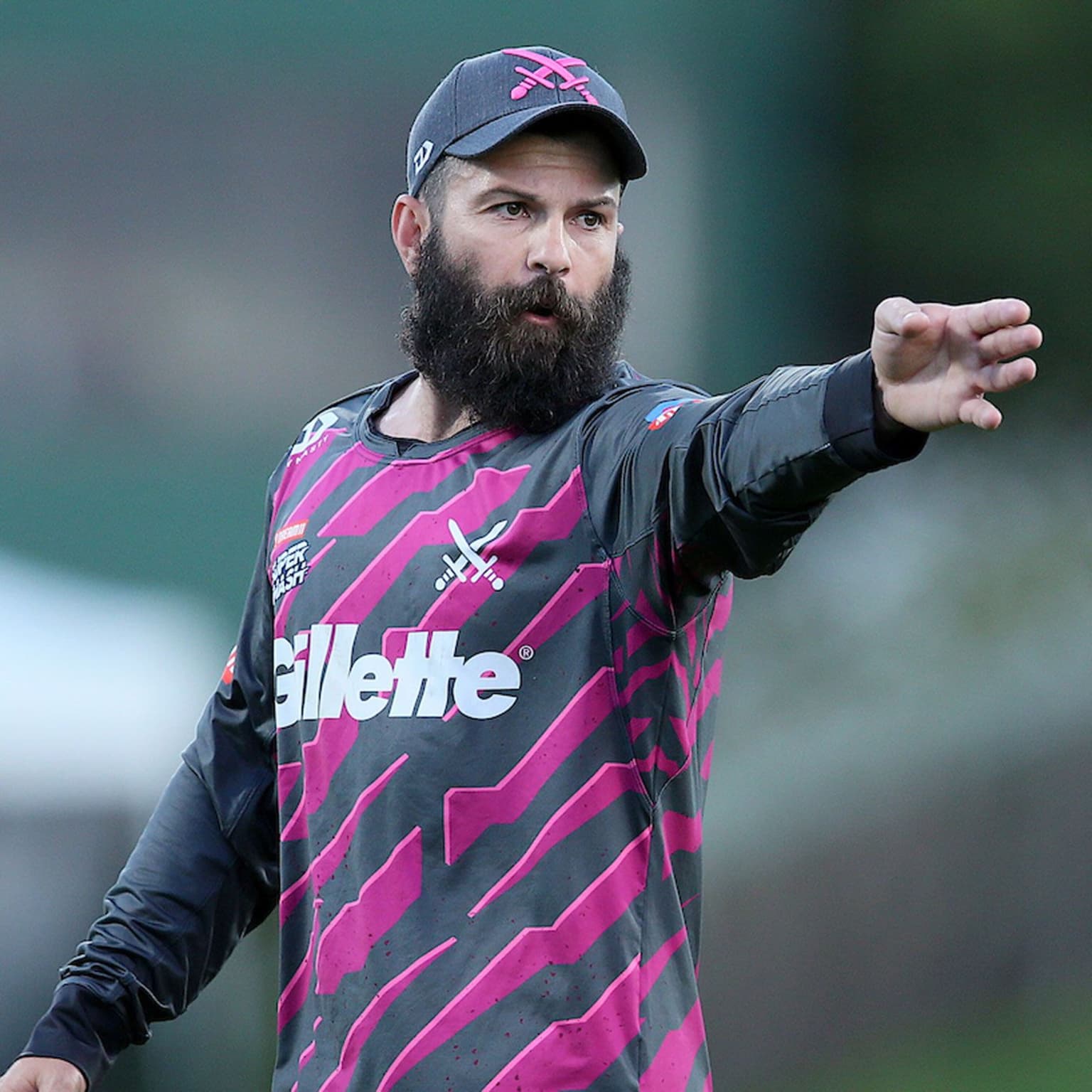 Anton Devcich: NZ cricket's 'maverick' artwork