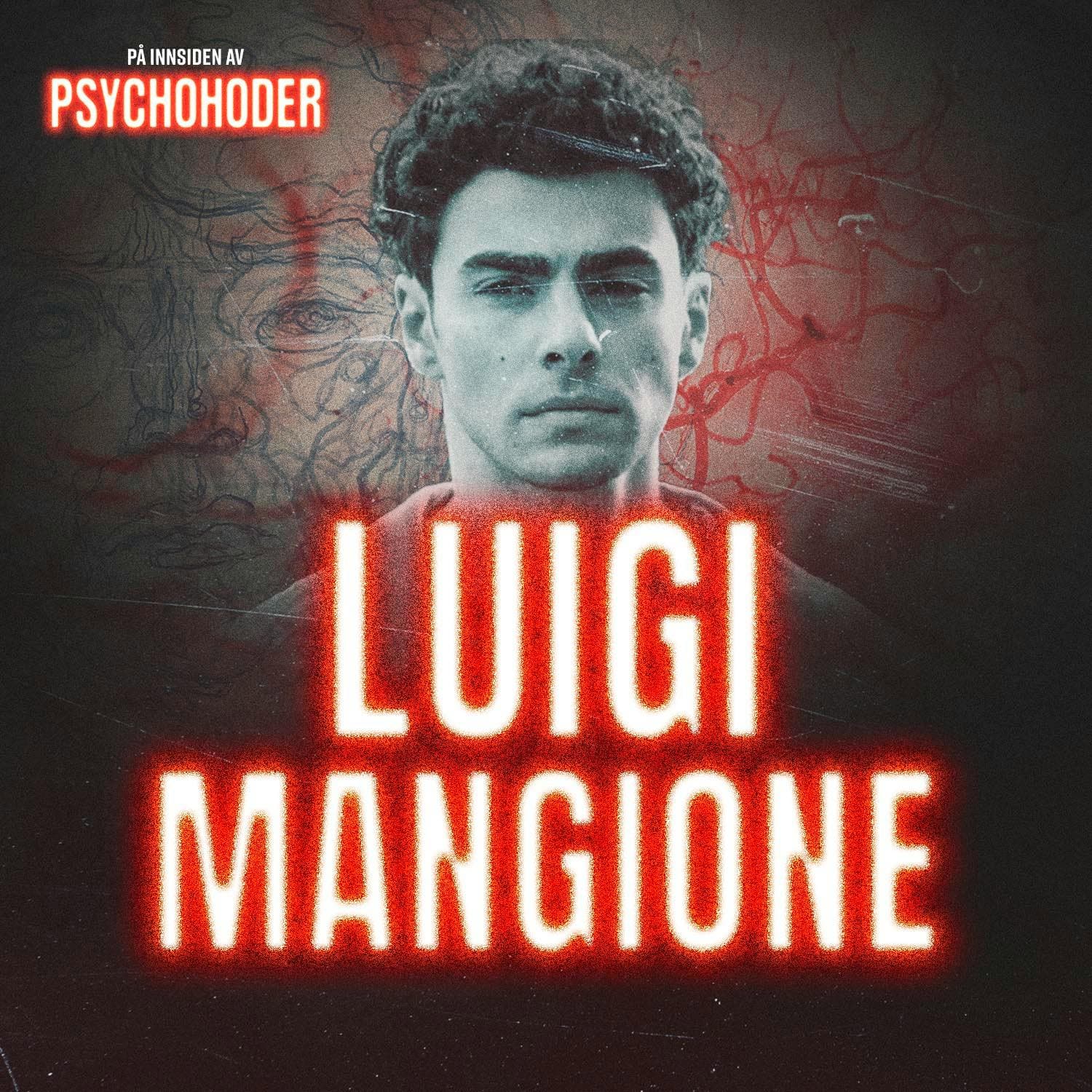 Luigi Mangione - “Delay, Deny, Depose” artwork