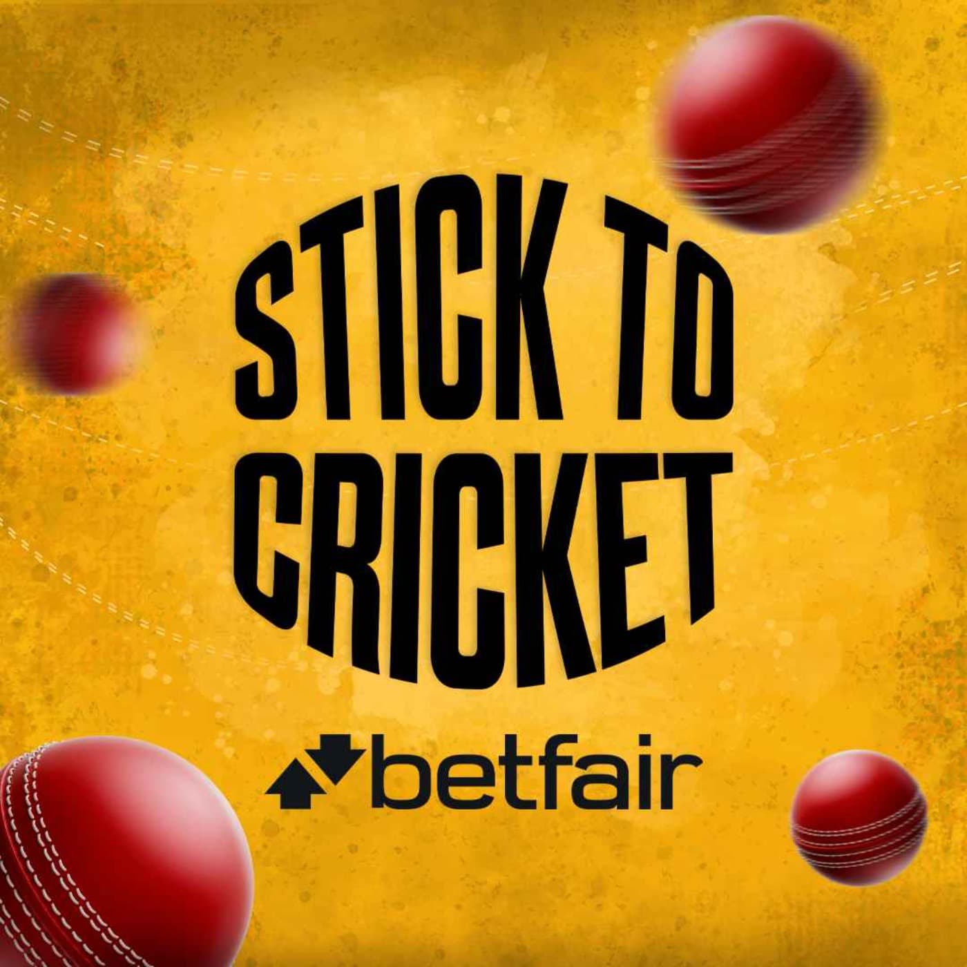 Freddie Flintoff: WWE, Coaching England & Life After Cricket! | Stick to Cricket artwork