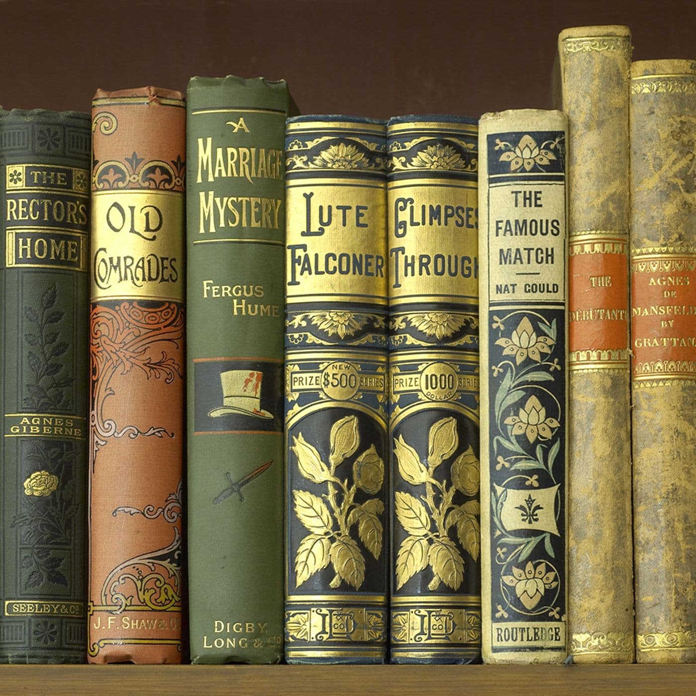 Slottsbibliotekarien artwork