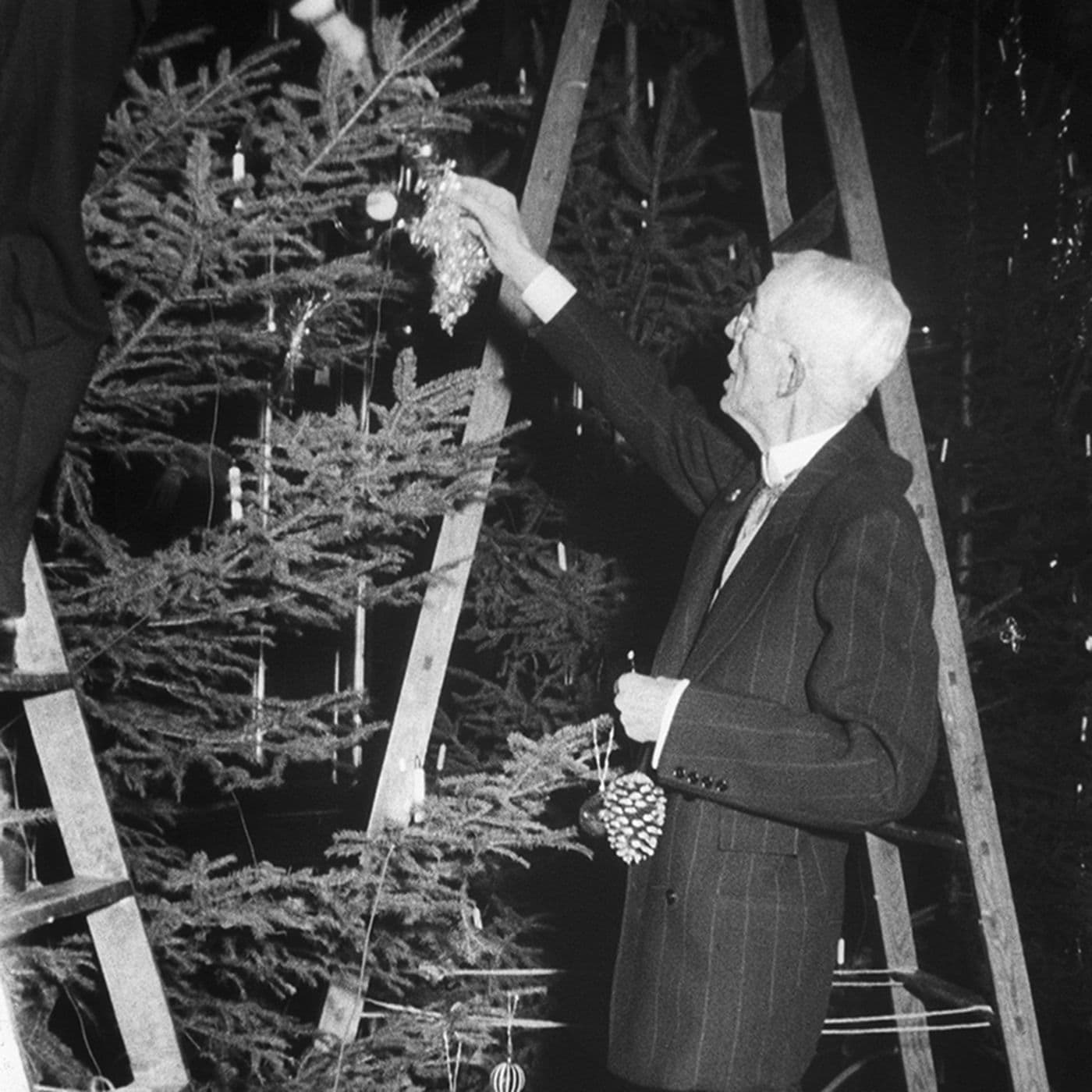 Jul hos Gustaf V artwork