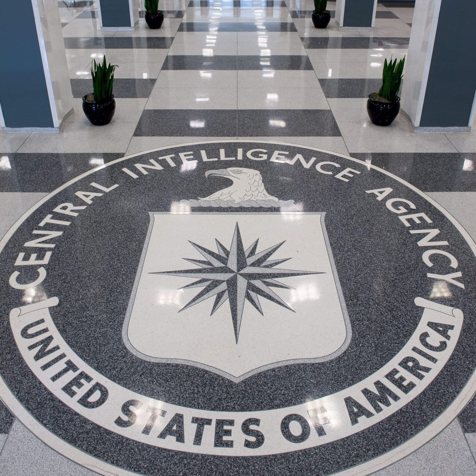 National Security, Unlocked artwork