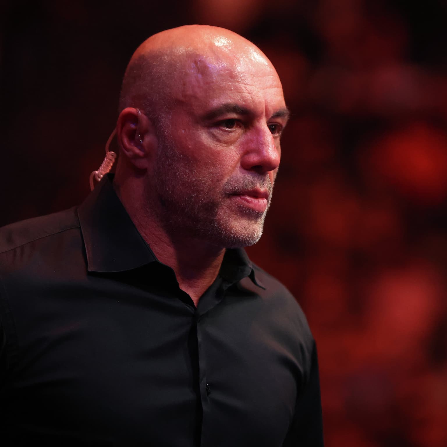 En bromance er forbi. Kan Donald Trump klare sig uden Joe Rogan? artwork