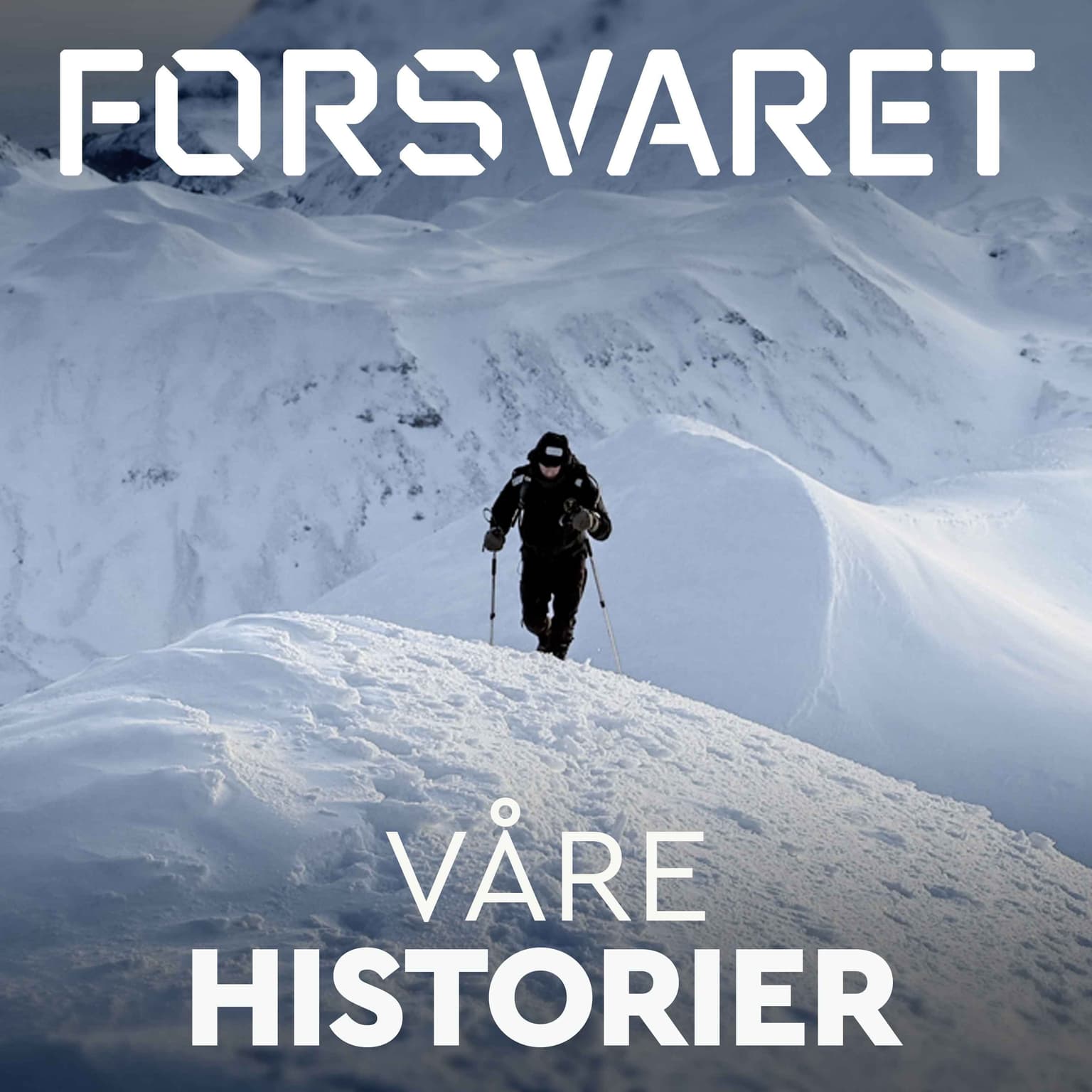 Skredet på Jan Mayen (2:3) artwork