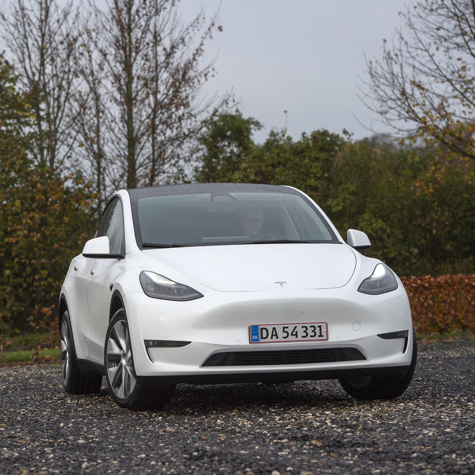 298 Derfor ender danske Tesla-biler i Østeuropa artwork